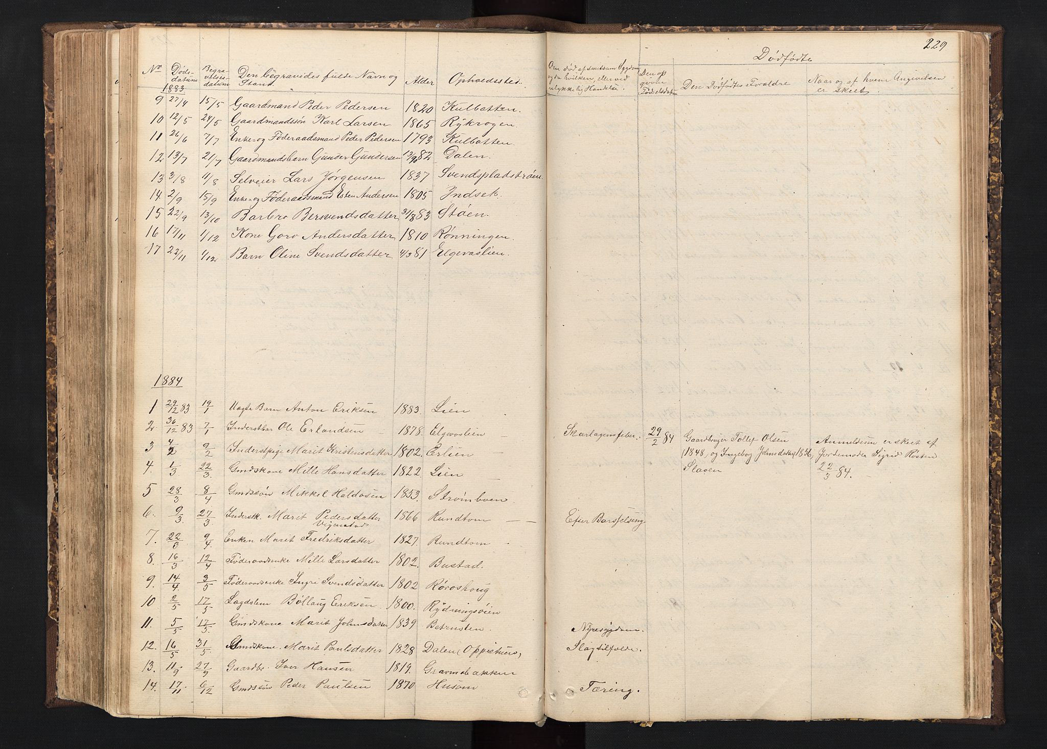 Alvdal prestekontor, SAH/PREST-060/H/Ha/Hab/L0001: Klokkerbok nr. 1, 1857-1893, s. 229