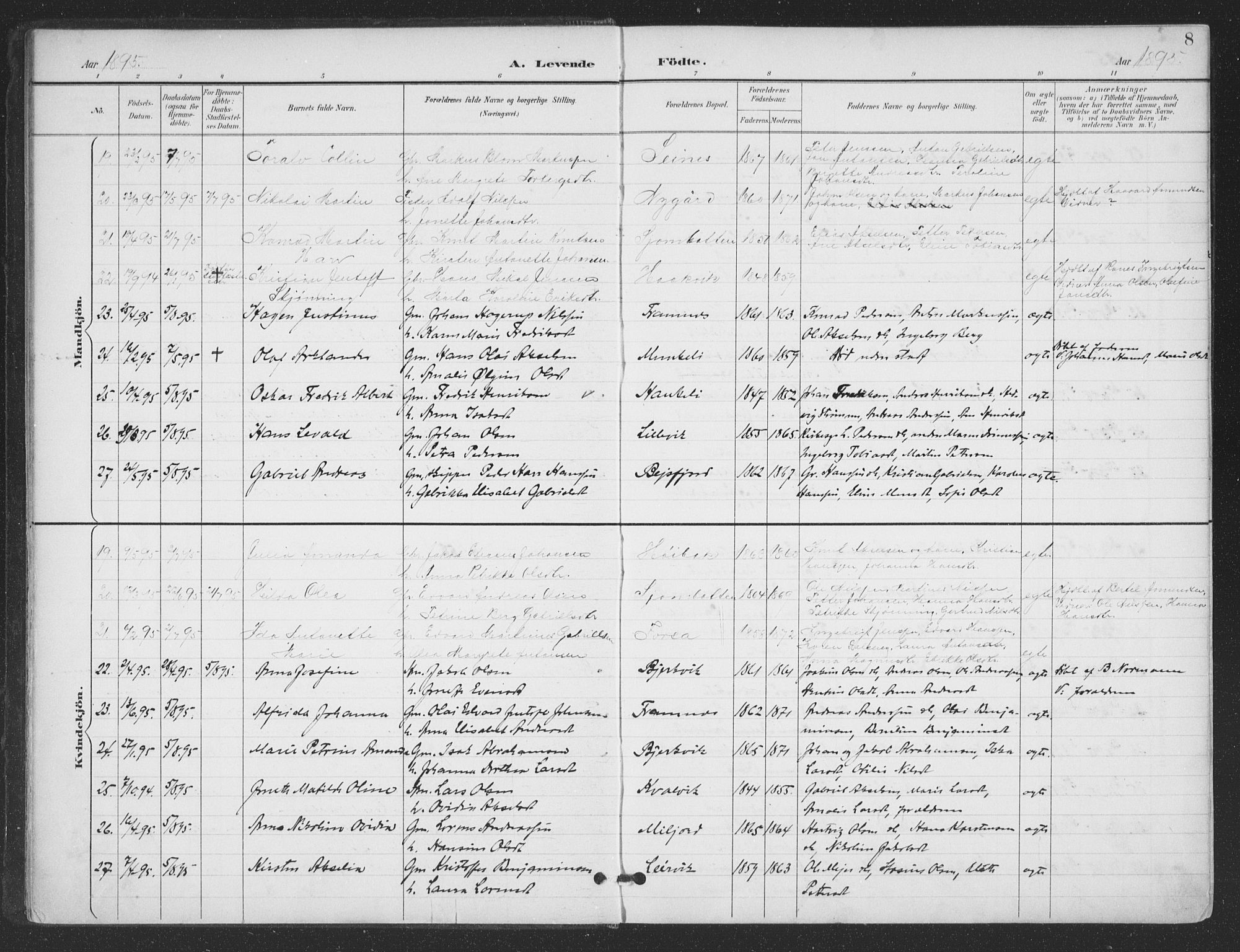 Ministerialprotokoller, klokkerbøker og fødselsregistre - Nordland, AV/SAT-A-1459/866/L0939: Ministerialbok nr. 866A02, 1894-1906, s. 8