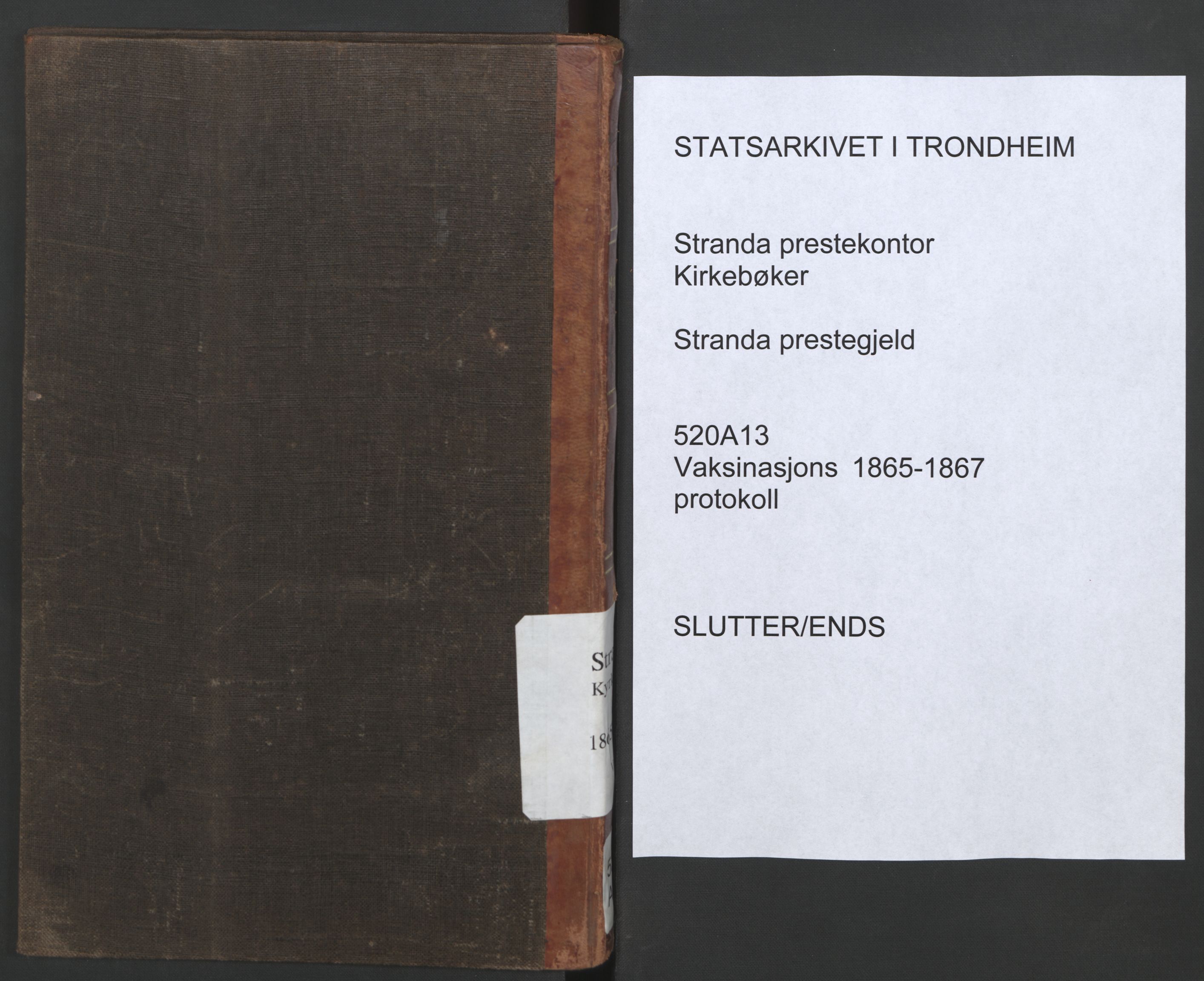 Ministerialprotokoller, klokkerbøker og fødselsregistre - Møre og Romsdal, AV/SAT-A-1454/520/L0284: Vaksinasjonsprotokoll nr. 520A13, 1865-1867