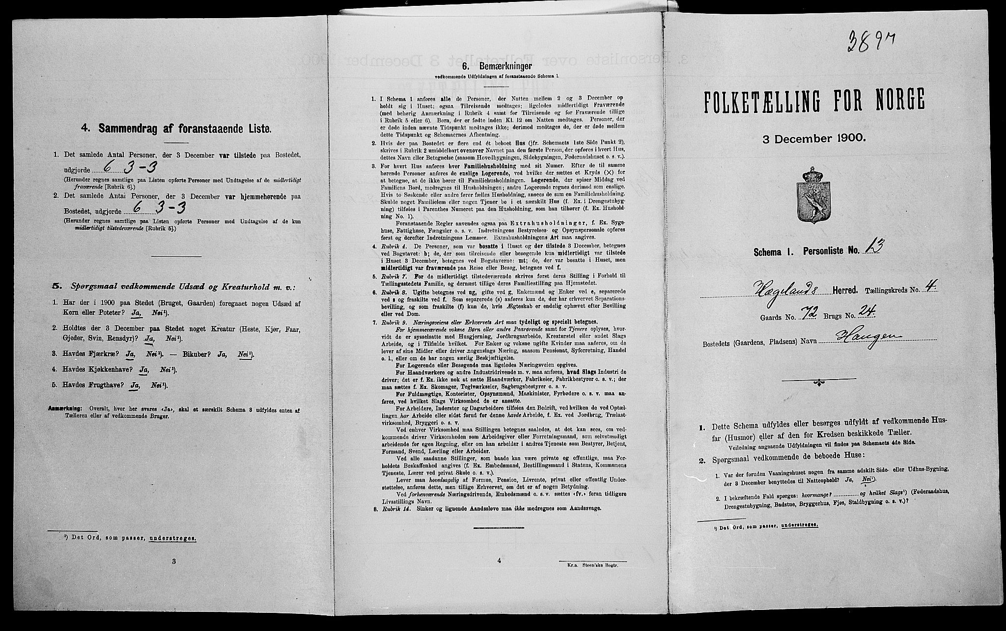 SAK, Folketelling 1900 for 1015 Hægeland herred, 1900, s. 213