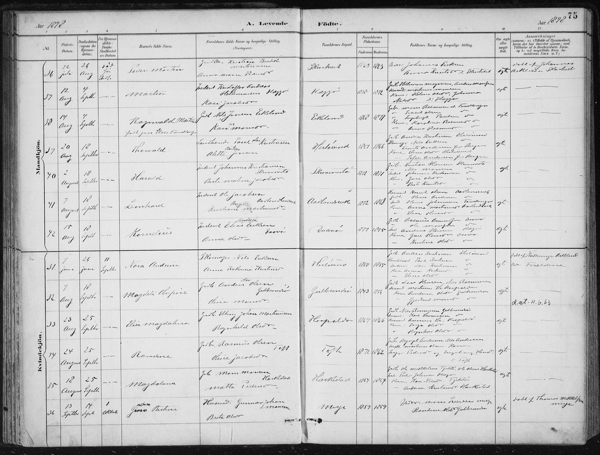 Herdla Sokneprestembete, AV/SAB-A-75701/H/Haa: Ministerialbok nr. A 4, 1891-1905, s. 75