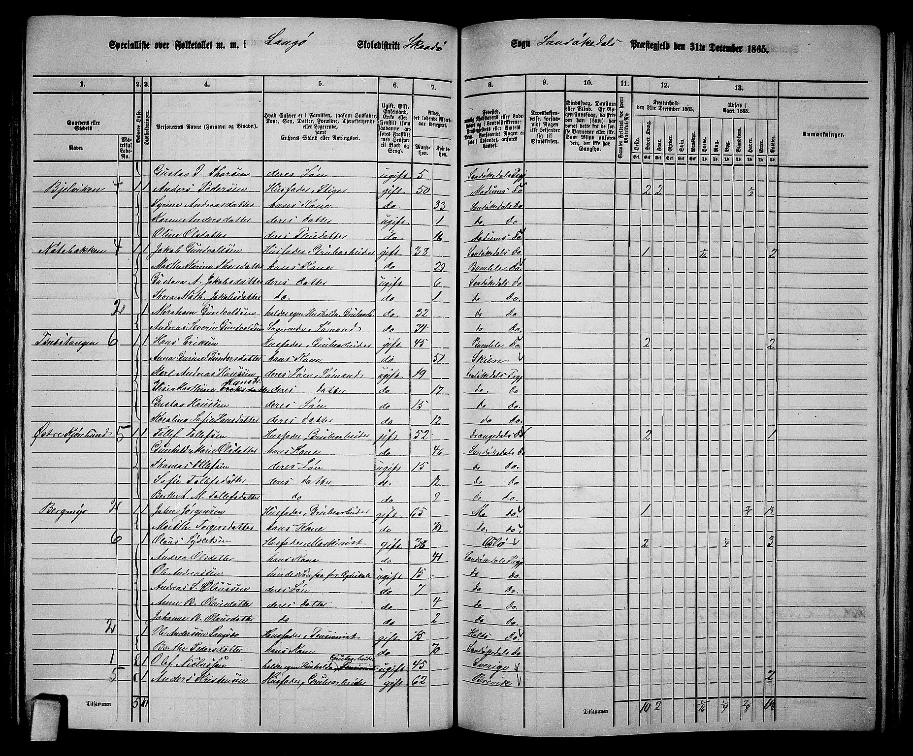 RA, Folketelling 1865 for 0816L Kragerø prestegjeld, Sannidal sokn og Skåtøy sokn, 1865, s. 170