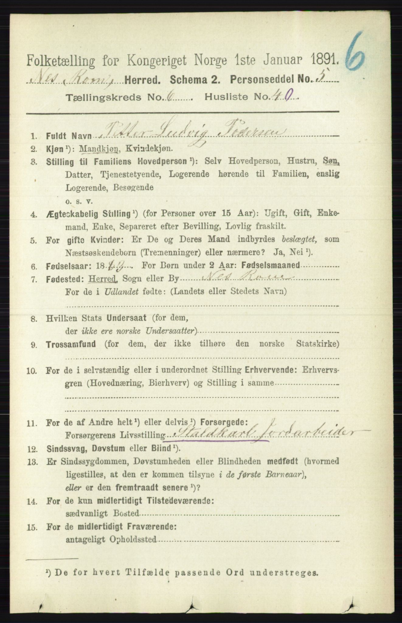 RA, Folketelling 1891 for 0236 Nes herred, 1891, s. 3631
