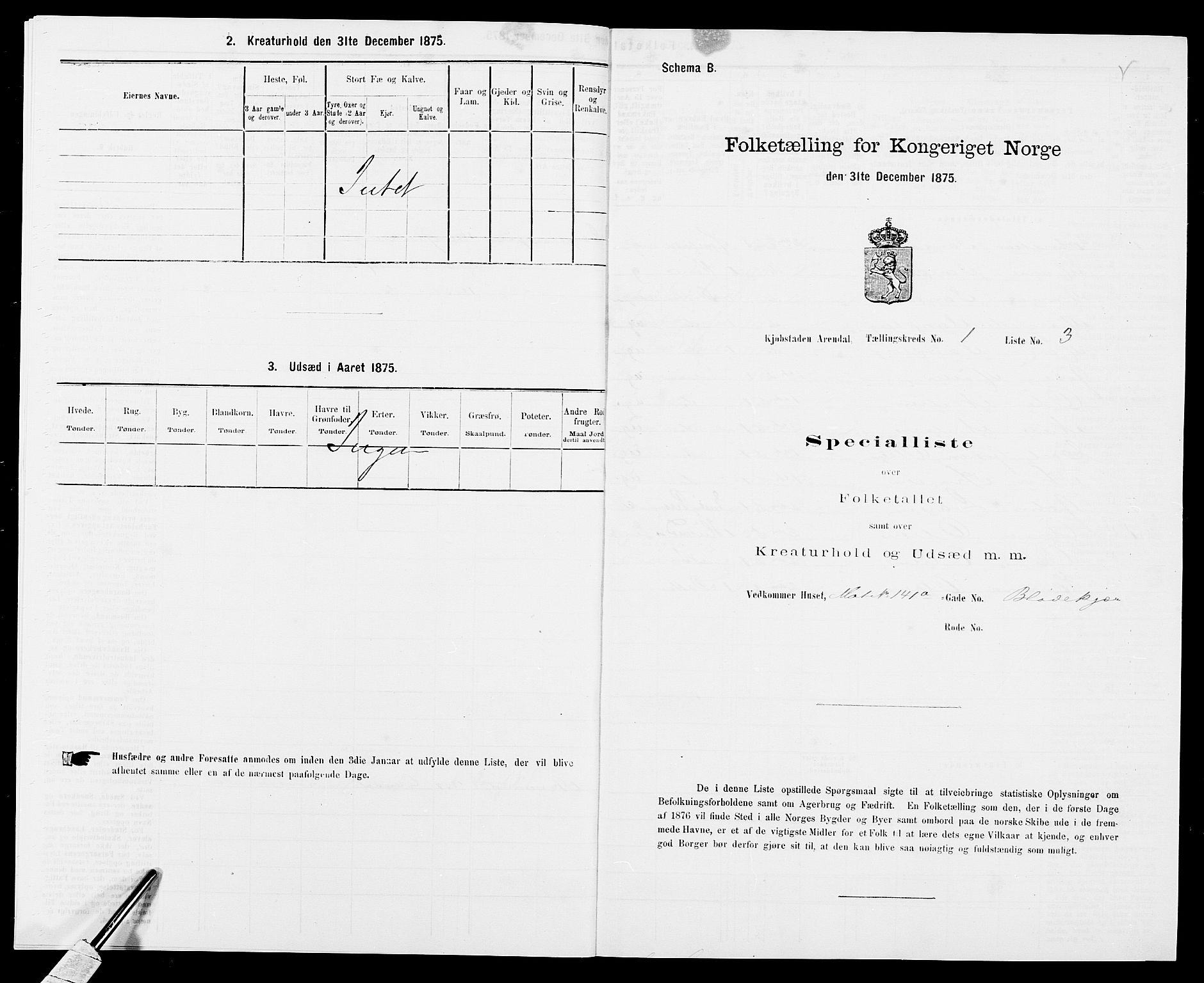 SAK, Folketelling 1875 for 0903P Arendal prestegjeld, 1875, s. 15