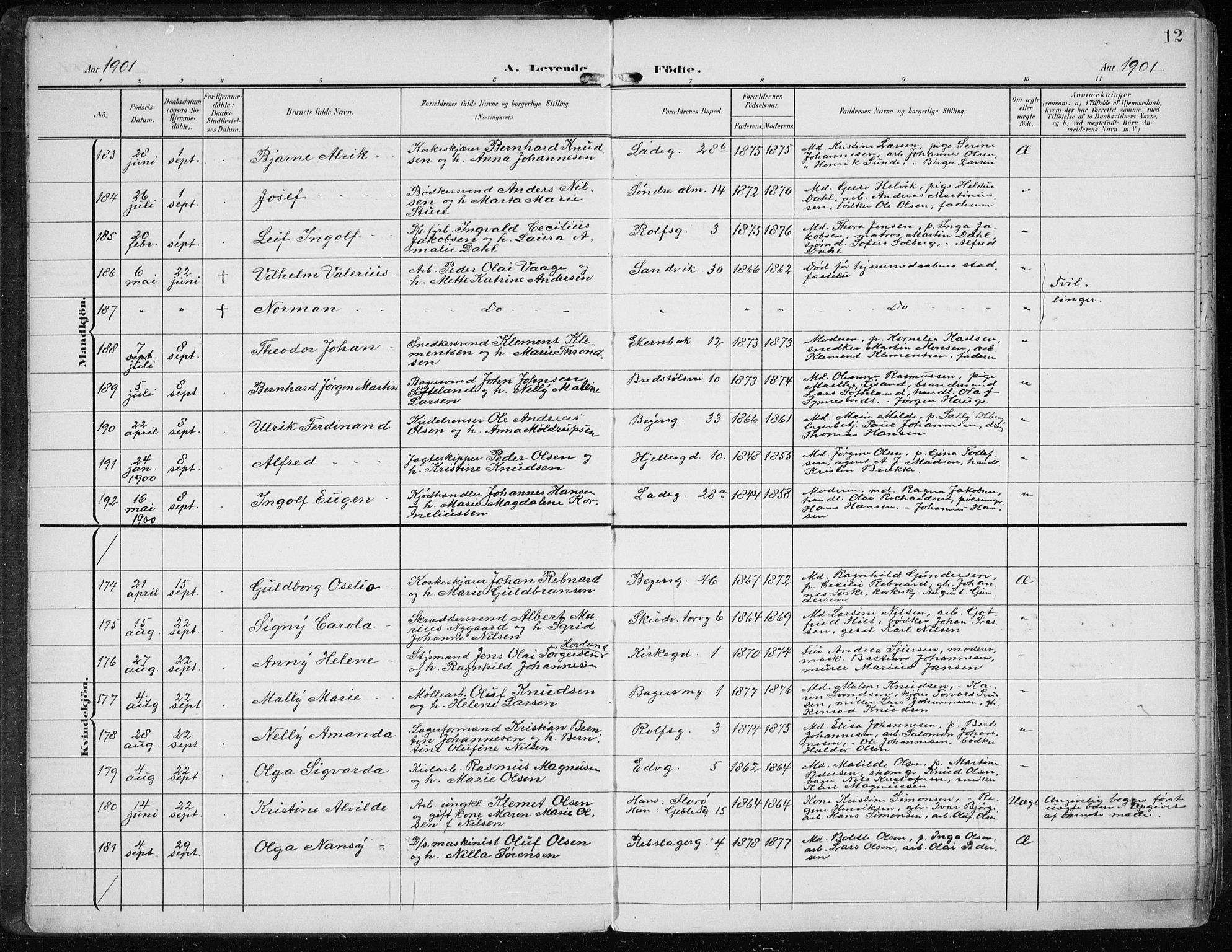 Sandviken Sokneprestembete, AV/SAB-A-77601/H/Ha/L0006: Ministerialbok nr. B 3, 1901-1912, s. 12