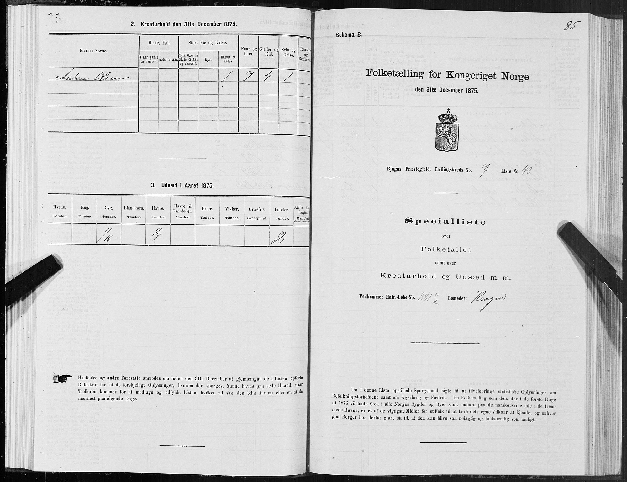 SAT, Folketelling 1875 for 1627P Bjugn prestegjeld, 1875, s. 4085