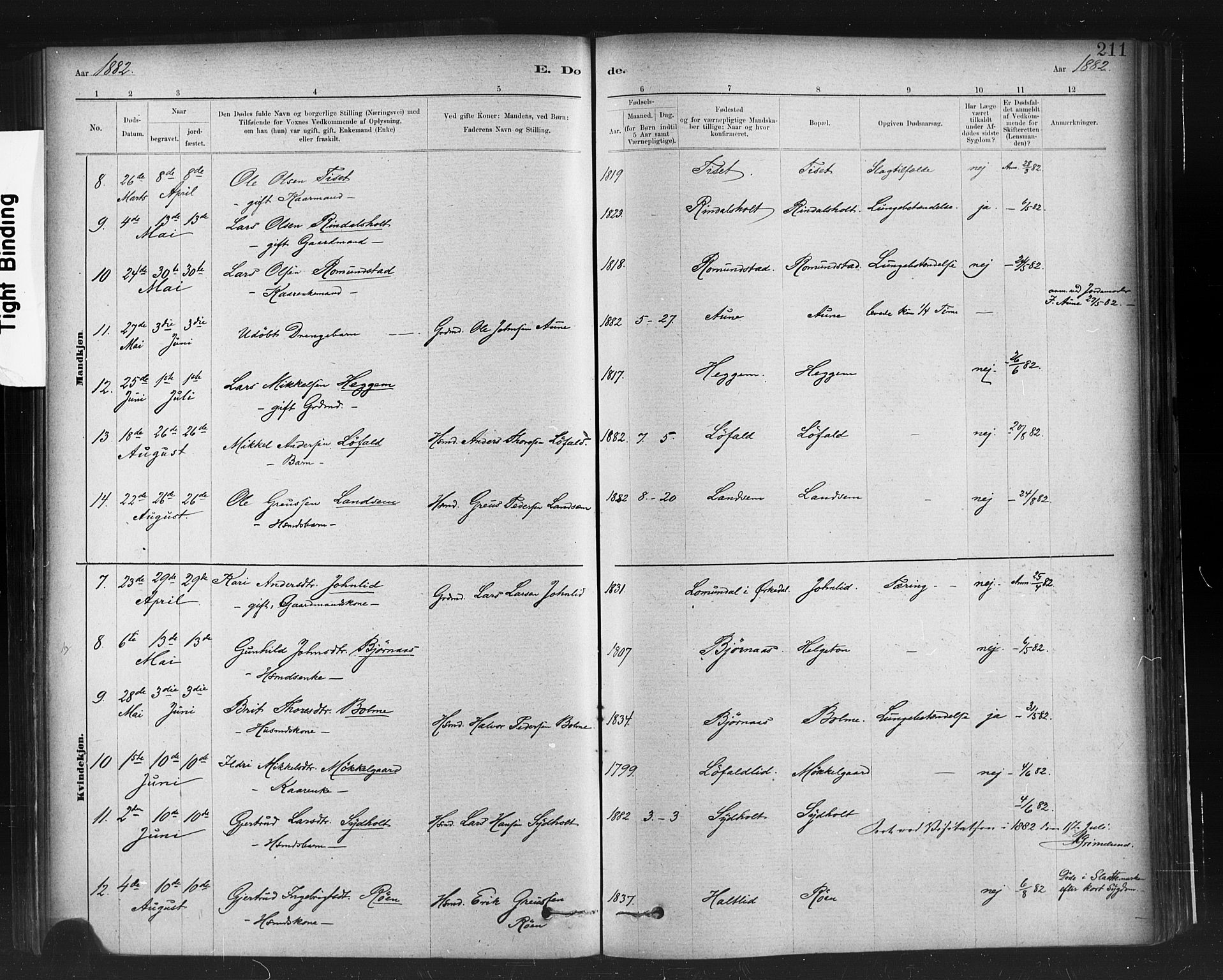 Ministerialprotokoller, klokkerbøker og fødselsregistre - Møre og Romsdal, SAT/A-1454/598/L1069: Ministerialbok nr. 598A03, 1882-1895, s. 211