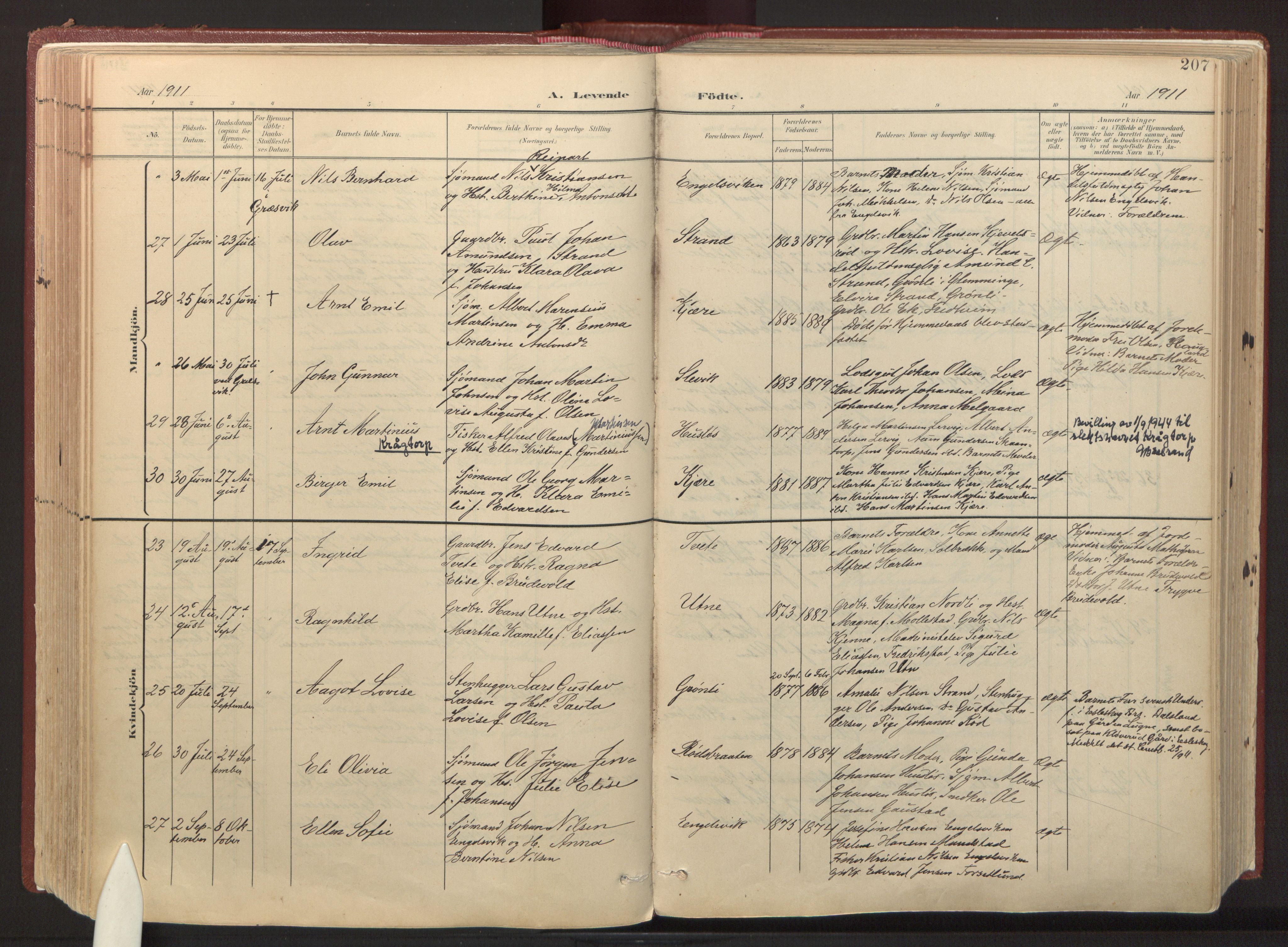 Onsøy prestekontor Kirkebøker, AV/SAO-A-10914/F/Fa/L0008: Ministerialbok nr. I 8, 1899-1923, s. 207