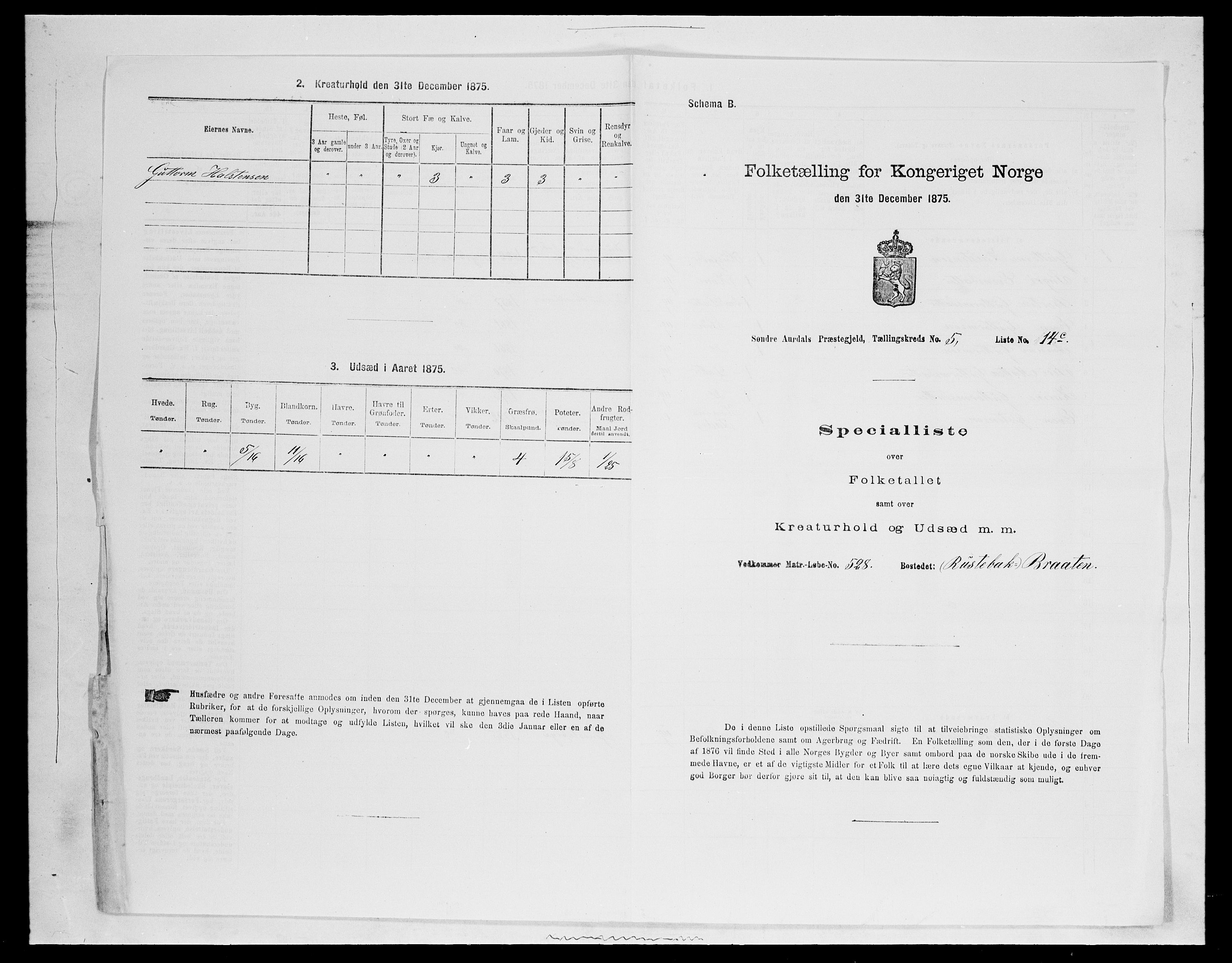 SAH, Folketelling 1875 for 0540P Sør-Aurdal prestegjeld, 1875, s. 973