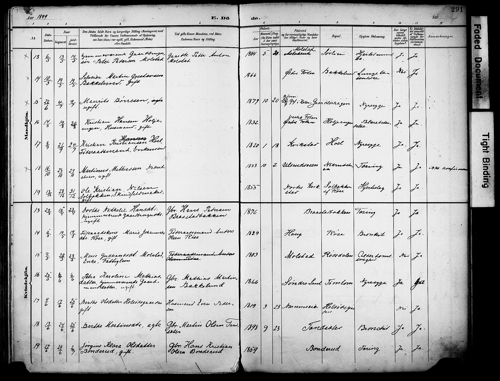 Vestre Toten prestekontor, AV/SAH-PREST-108/H/Ha/Haa/L0013: Ministerialbok nr. 13, 1895-1911, s. 291