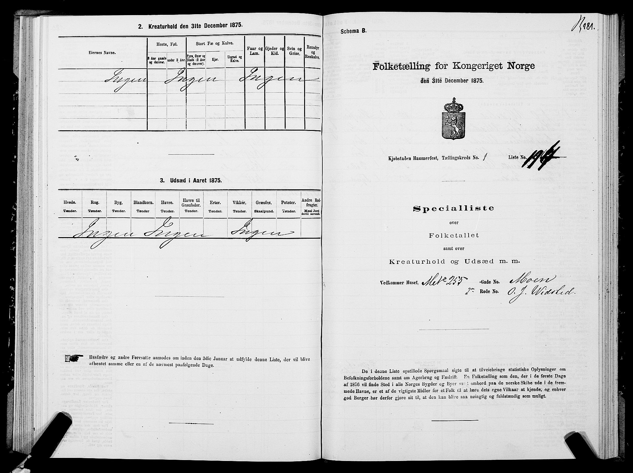 SATØ, Folketelling 1875 for 2001B Hammerfest prestegjeld, Hammerfest kjøpstad, 1875, s. 2181