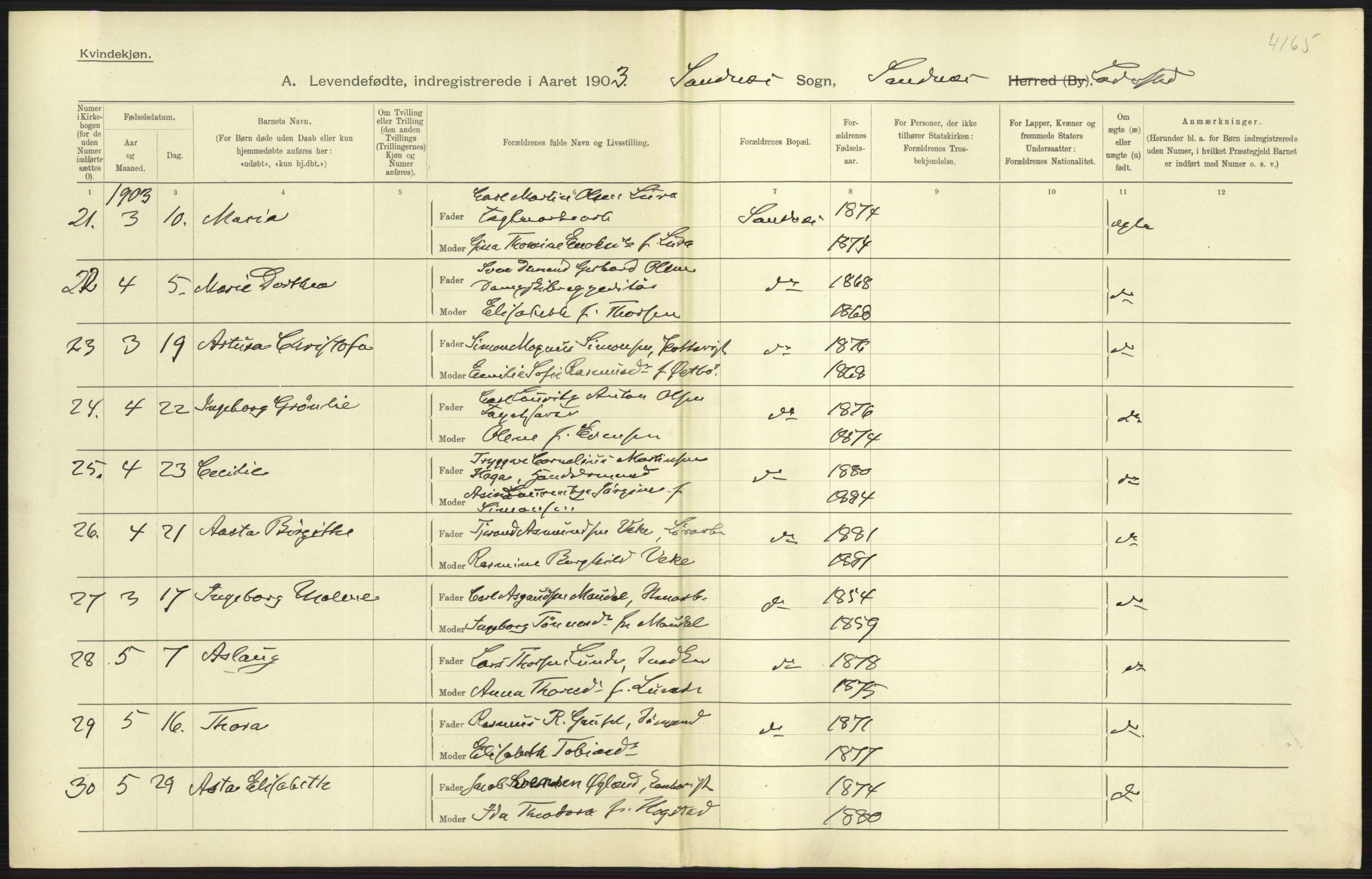 Statistisk sentralbyrå, Sosiodemografiske emner, Befolkning, AV/RA-S-2228/D/Df/Dfa/Dfaa/L0012: Stavanger amt: Fødte, gifte, døde, 1903, s. 321