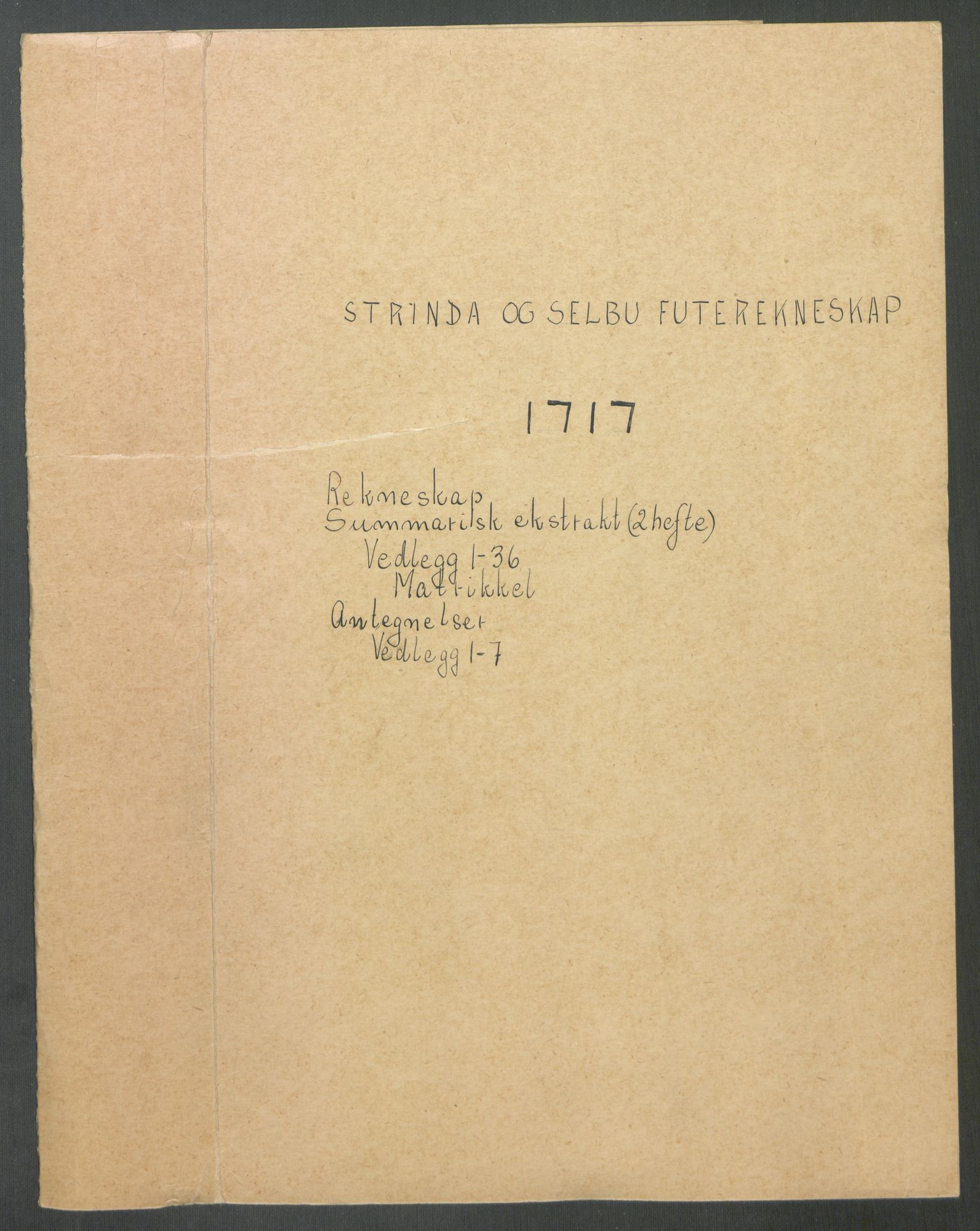 Rentekammeret inntil 1814, Reviderte regnskaper, Fogderegnskap, RA/EA-4092/R61/L4116: Fogderegnskap Strinda og Selbu, 1717-1718, s. 2
