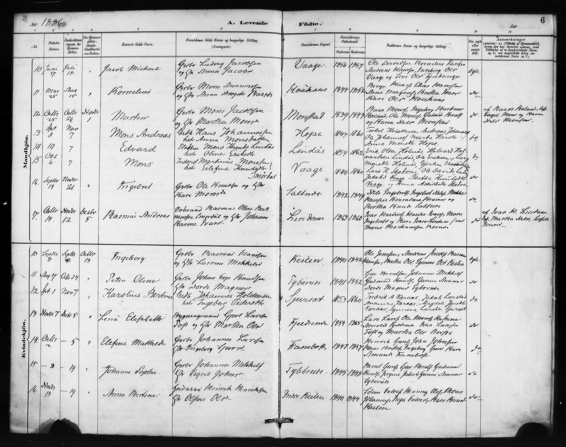 Lindås Sokneprestembete, AV/SAB-A-76701/H/Haa/Haab/L0001: Ministerialbok nr. B 1, 1886-1900, s. 6
