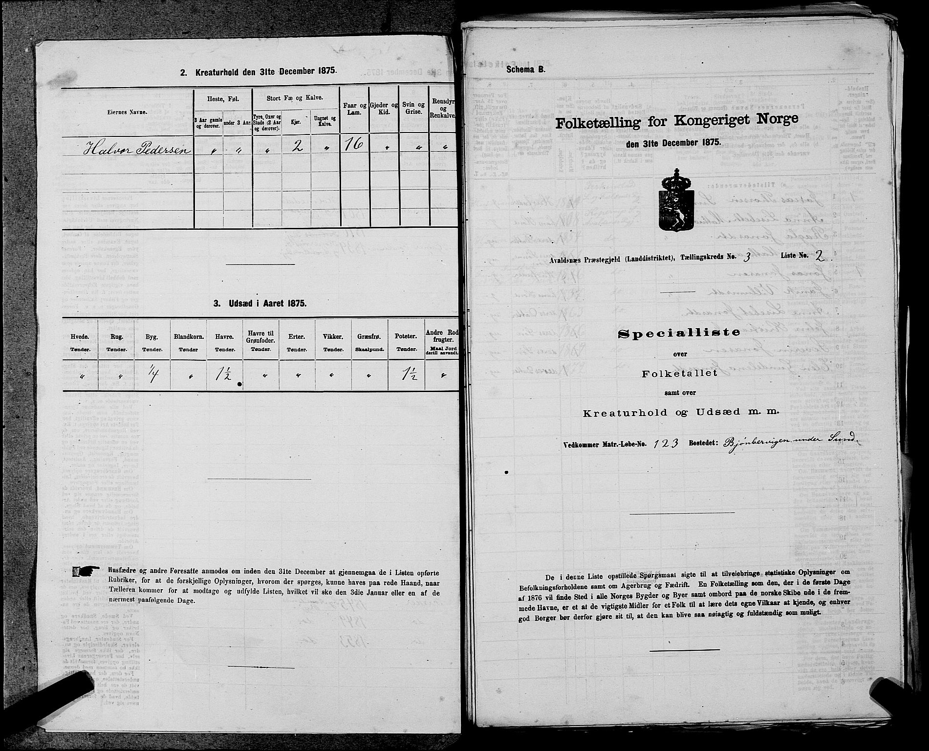 SAST, Folketelling 1875 for 1147L Avaldsnes prestegjeld, Avaldsnes sokn og Kopervik landsokn, 1875, s. 359
