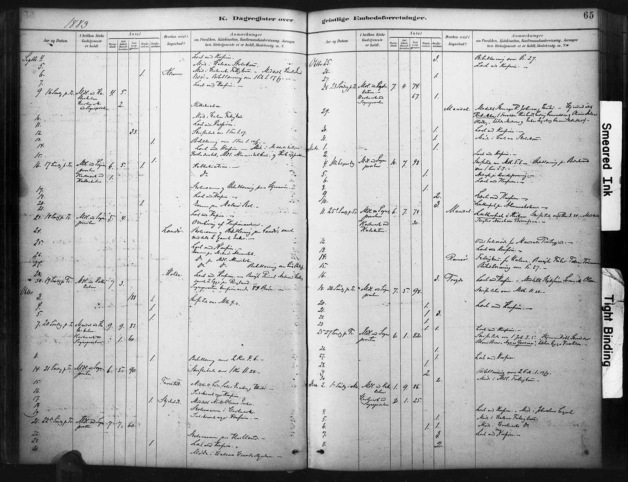 Mandal sokneprestkontor, SAK/1111-0030/F/Fa/Faa/L0017: Ministerialbok nr. A 17, 1880-1926, s. 65