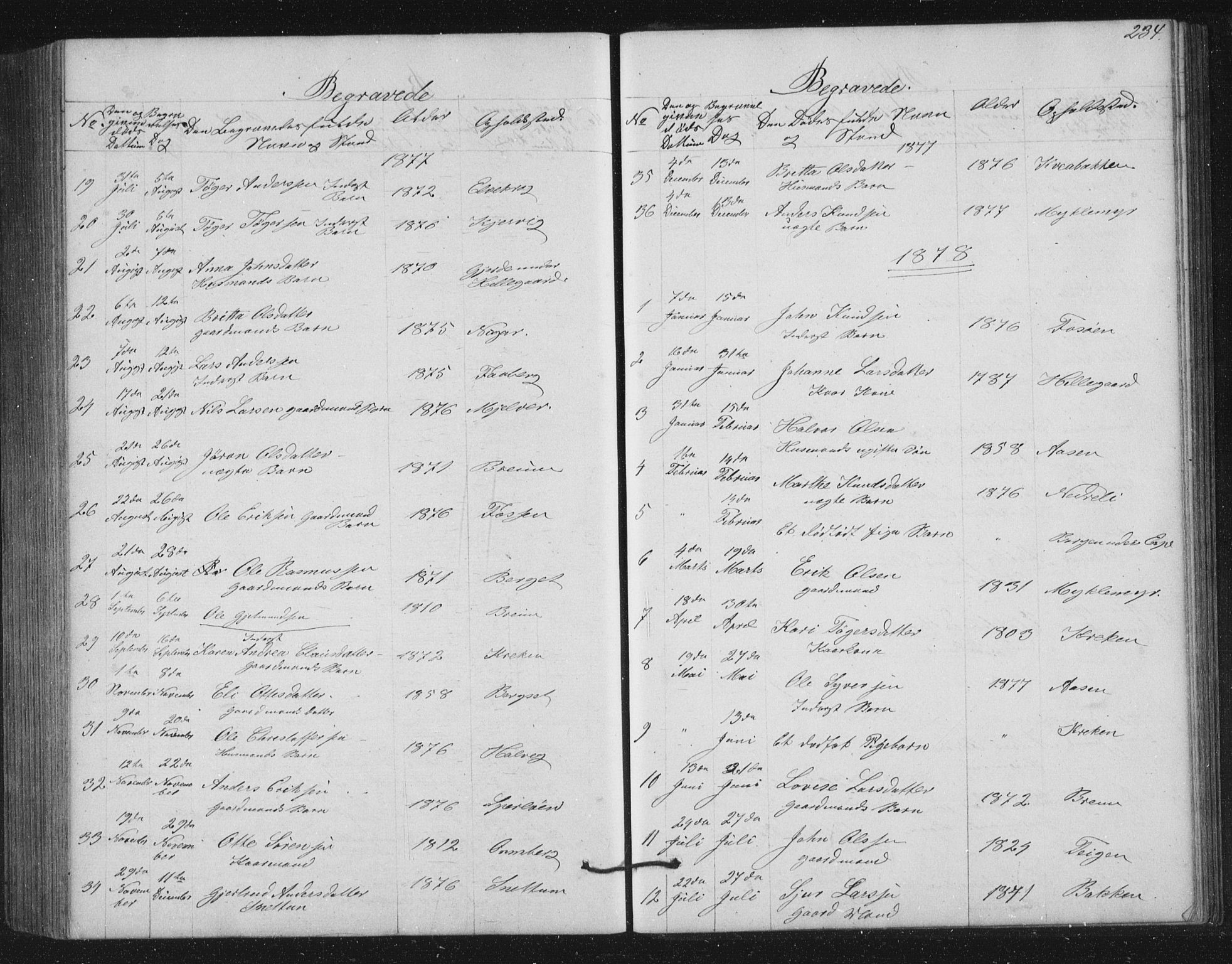 Jostedal sokneprestembete, AV/SAB-A-80601/H/Hab/Haba/L0001: Klokkerbok nr. A 1, 1861-1906, s. 234