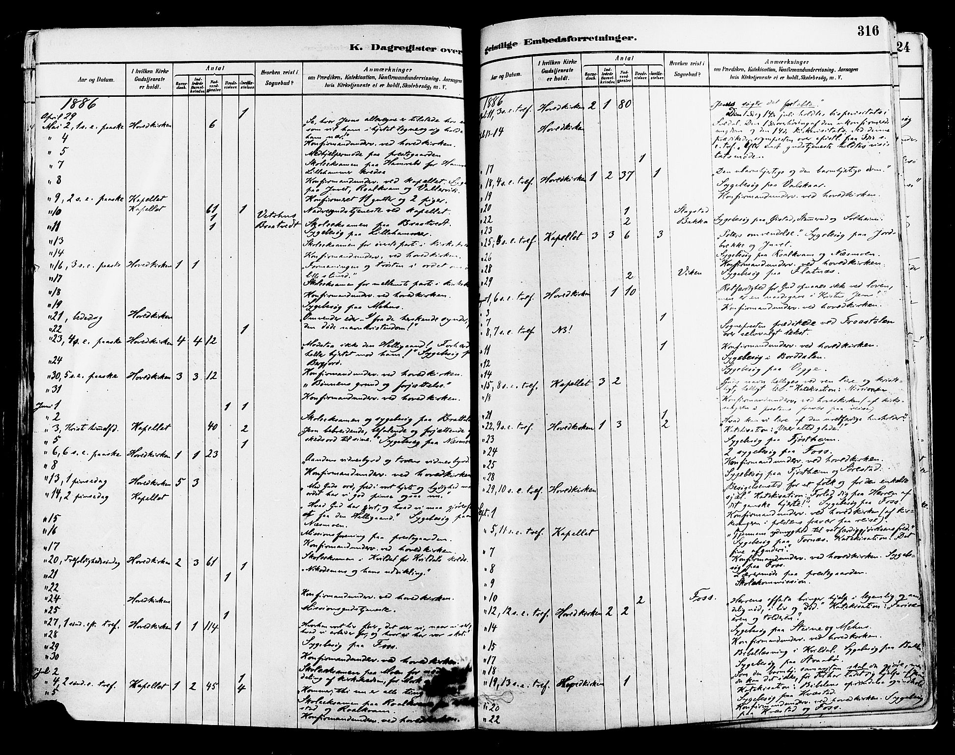 Suldal sokneprestkontor, AV/SAST-A-101845/01/IV/L0011: Ministerialbok nr. A 11, 1878-1900, s. 316