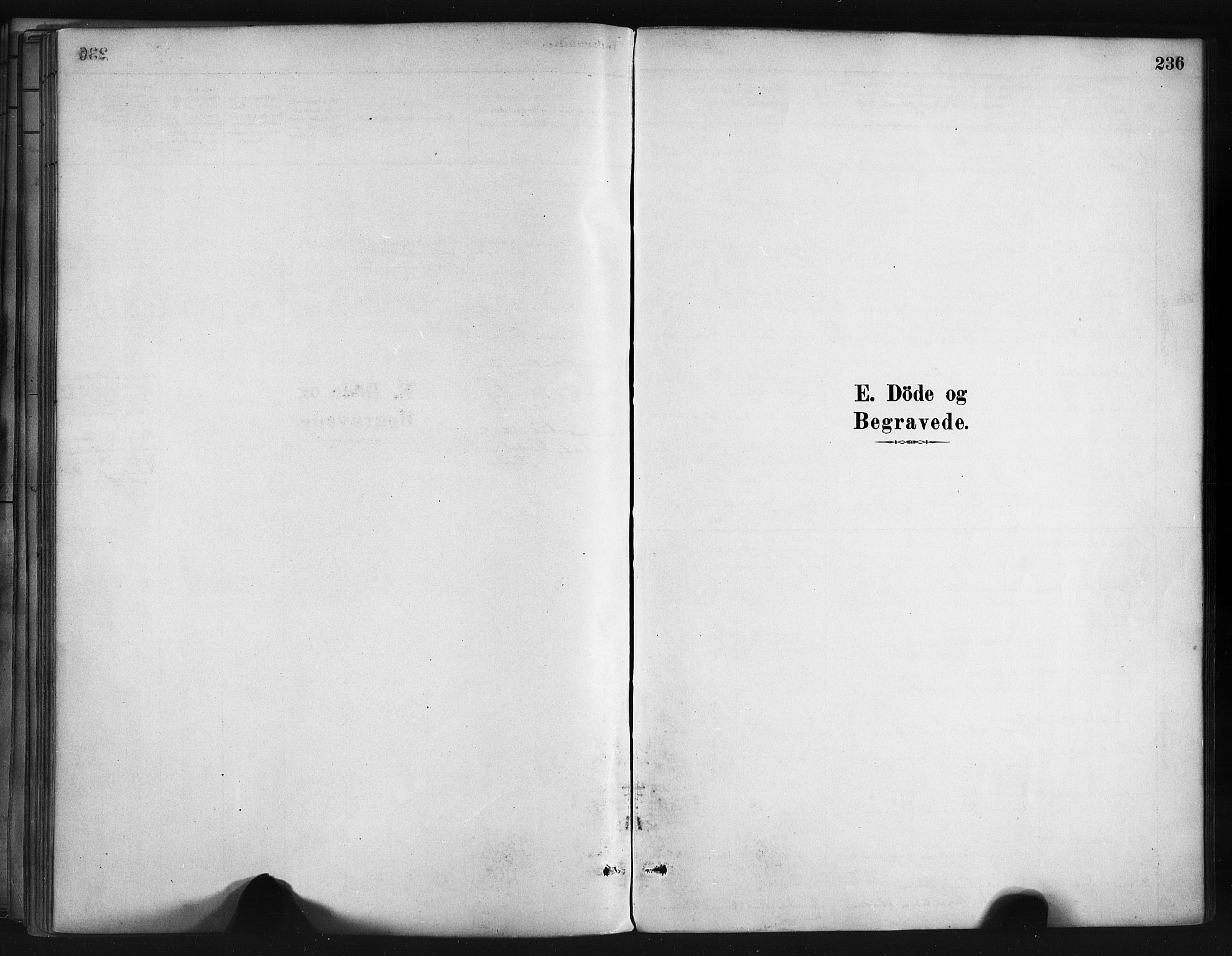 Askøy Sokneprestembete, AV/SAB-A-74101/H/Ha/Haa/Haae/L0002: Ministerialbok nr. E 2, 1878-1891, s. 236