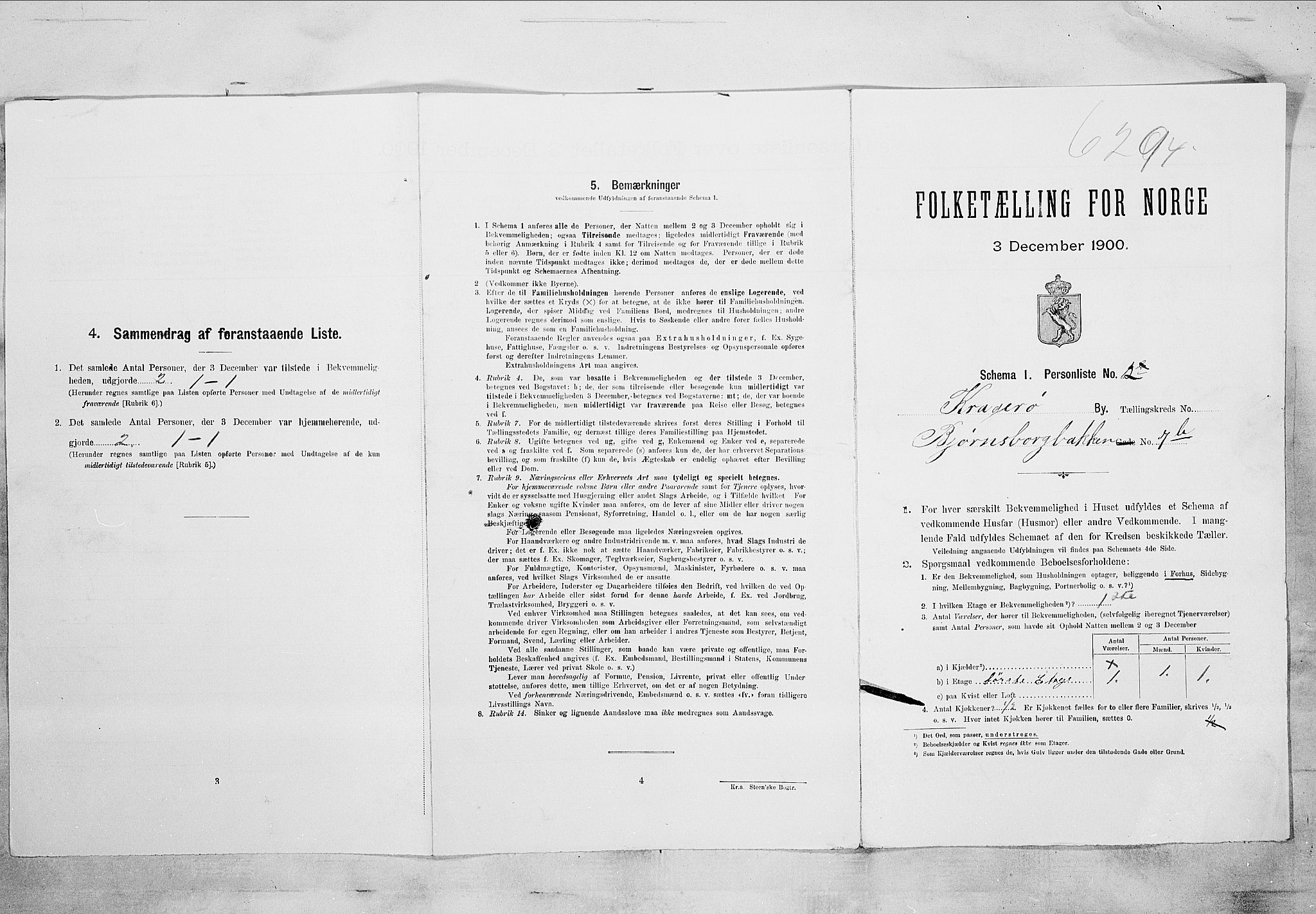 SAKO, Folketelling 1900 for 0801 Kragerø kjøpstad, 1900, s. 3019