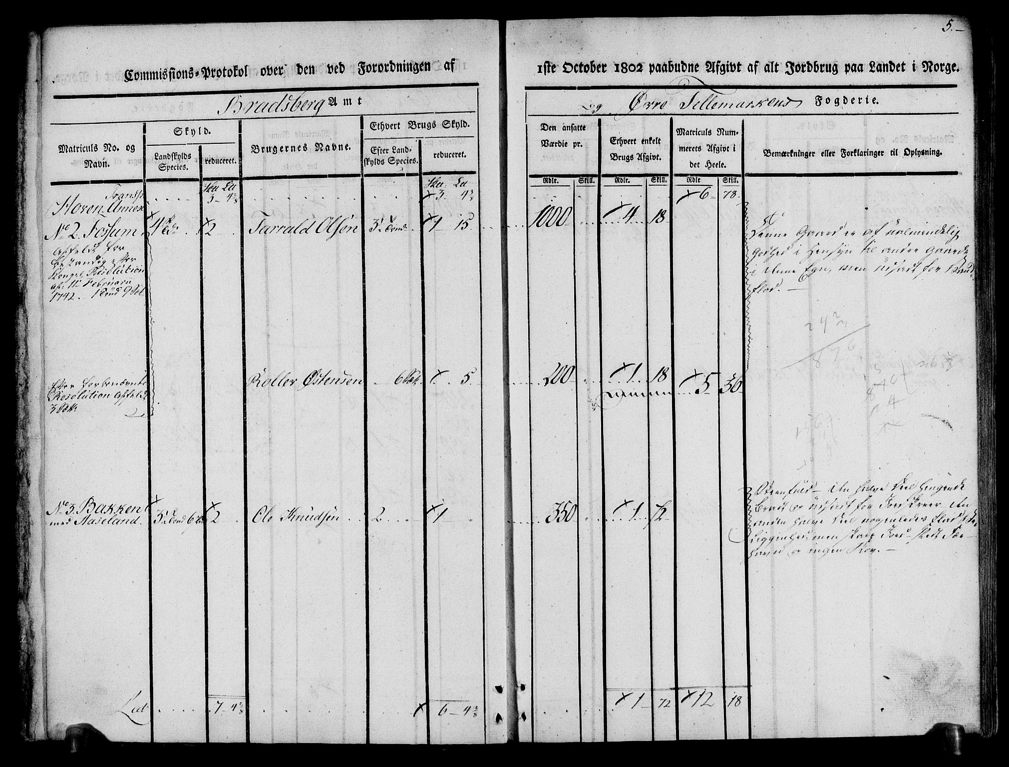 Rentekammeret inntil 1814, Realistisk ordnet avdeling, AV/RA-EA-4070/N/Ne/Nea/L0074: Øvre Telemarken fogderi. Kommisjonsprotokoll for fogderiets østre del - Tinn, Hjartdal og Seljord prestegjeld., 1803, s. 5