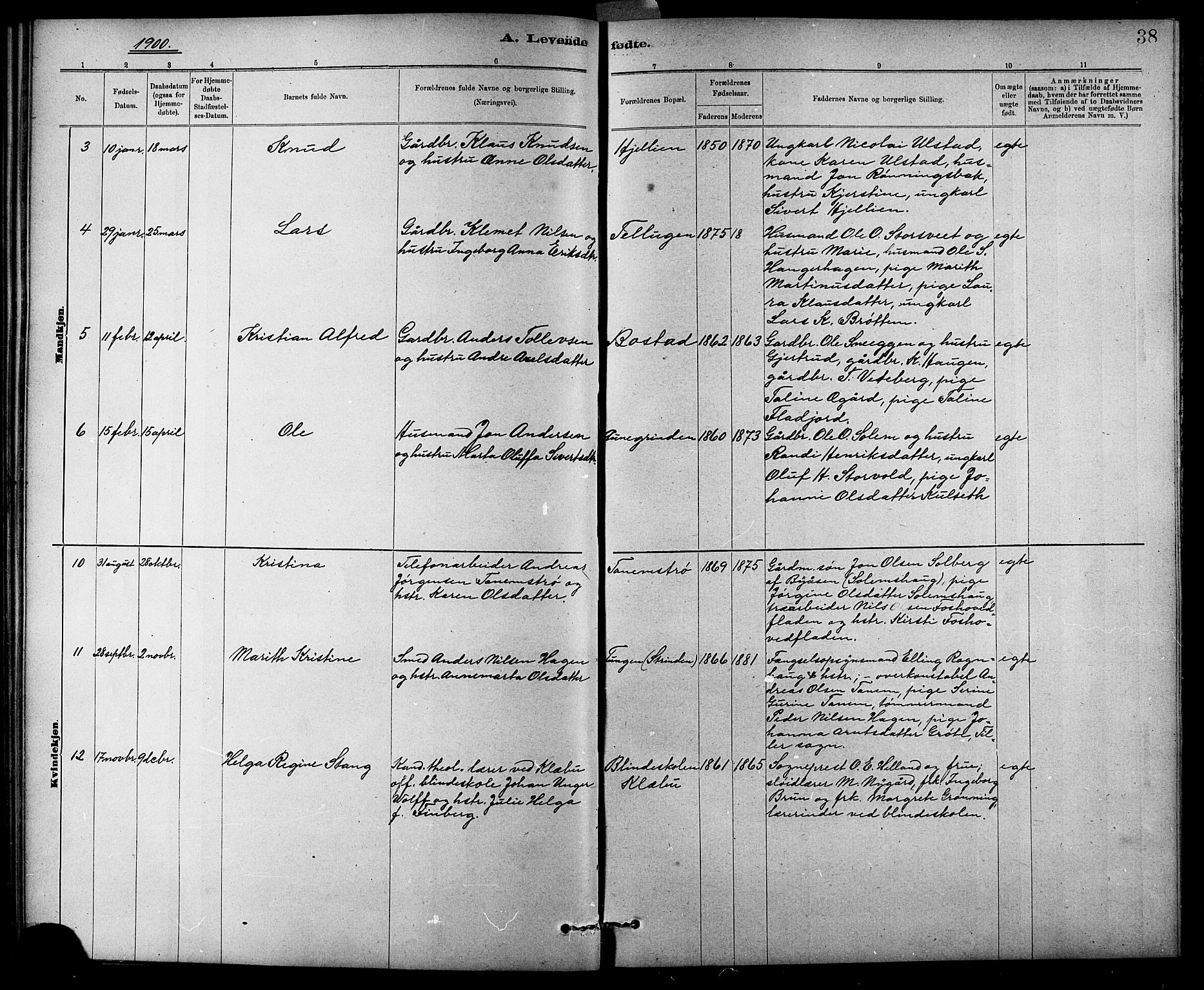 Ministerialprotokoller, klokkerbøker og fødselsregistre - Sør-Trøndelag, SAT/A-1456/618/L0452: Klokkerbok nr. 618C03, 1884-1906, s. 38