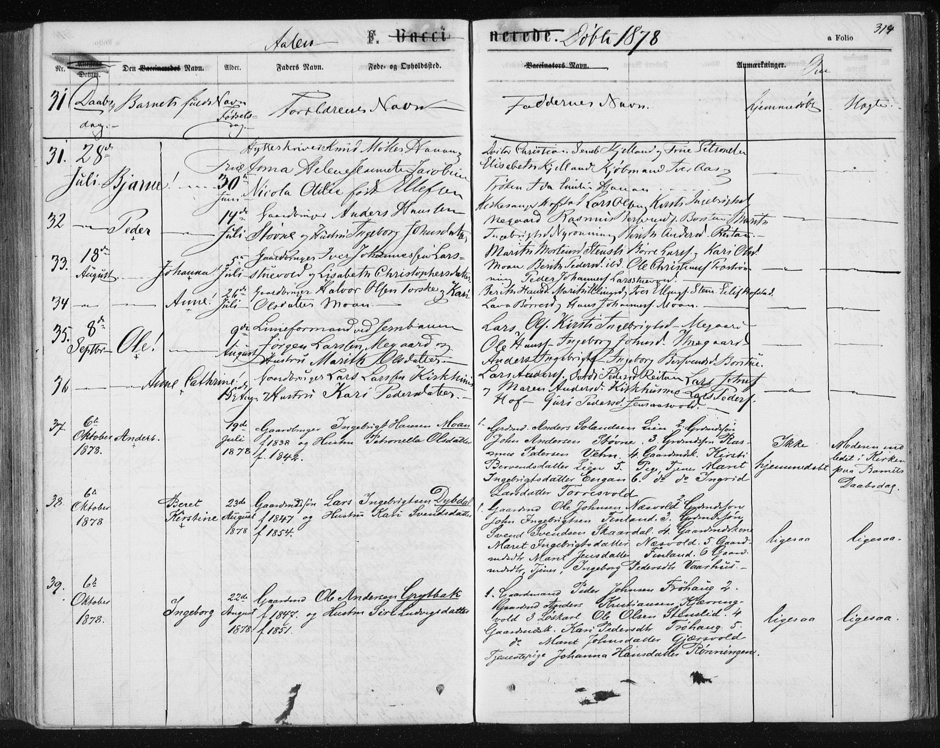 Ministerialprotokoller, klokkerbøker og fødselsregistre - Sør-Trøndelag, SAT/A-1456/685/L0971: Ministerialbok nr. 685A08 /3, 1870-1879, s. 314