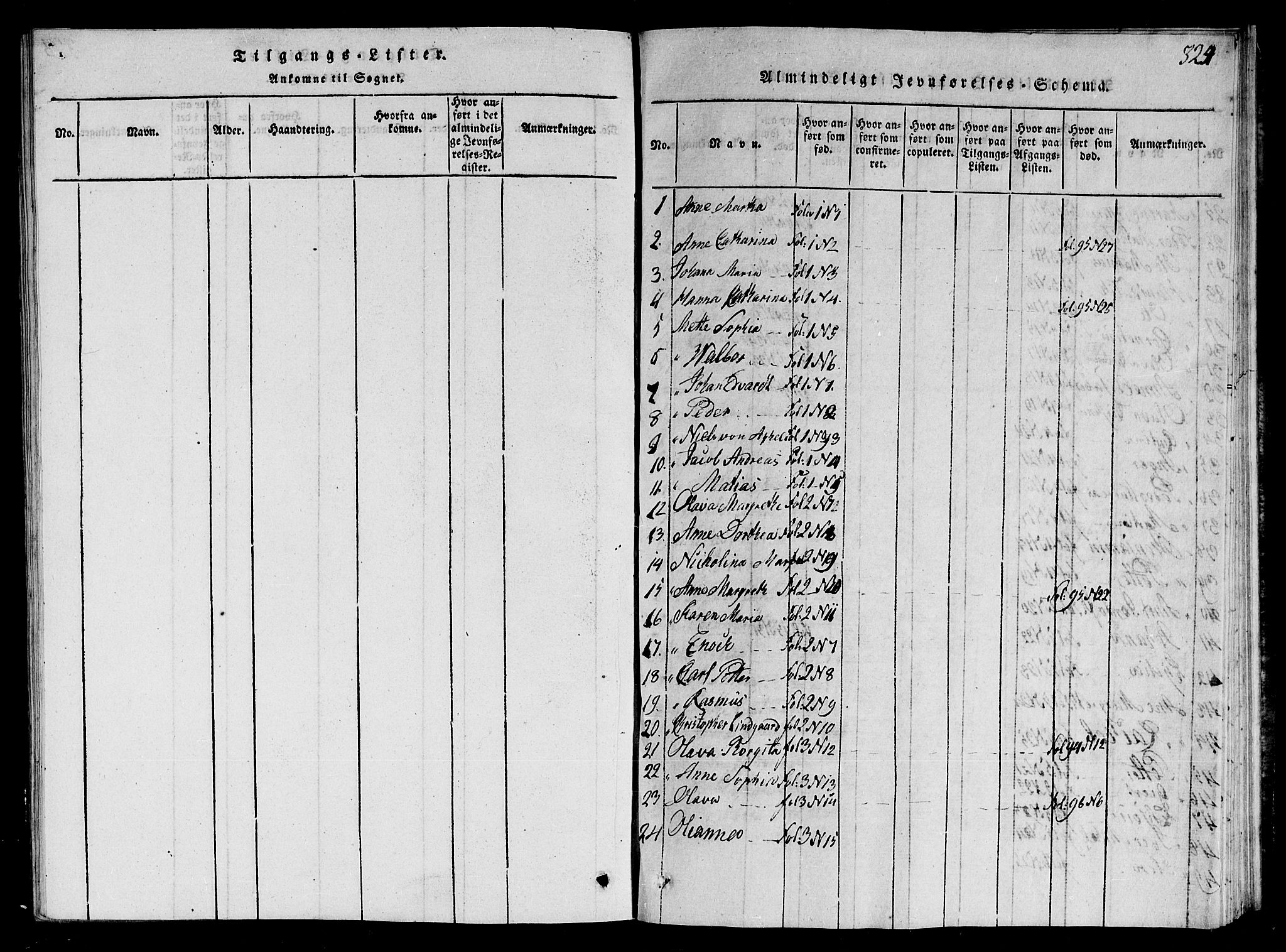 Ministerialprotokoller, klokkerbøker og fødselsregistre - Nord-Trøndelag, SAT/A-1458/784/L0679: Klokkerbok nr. 784C01 /1, 1816-1822, s. 324