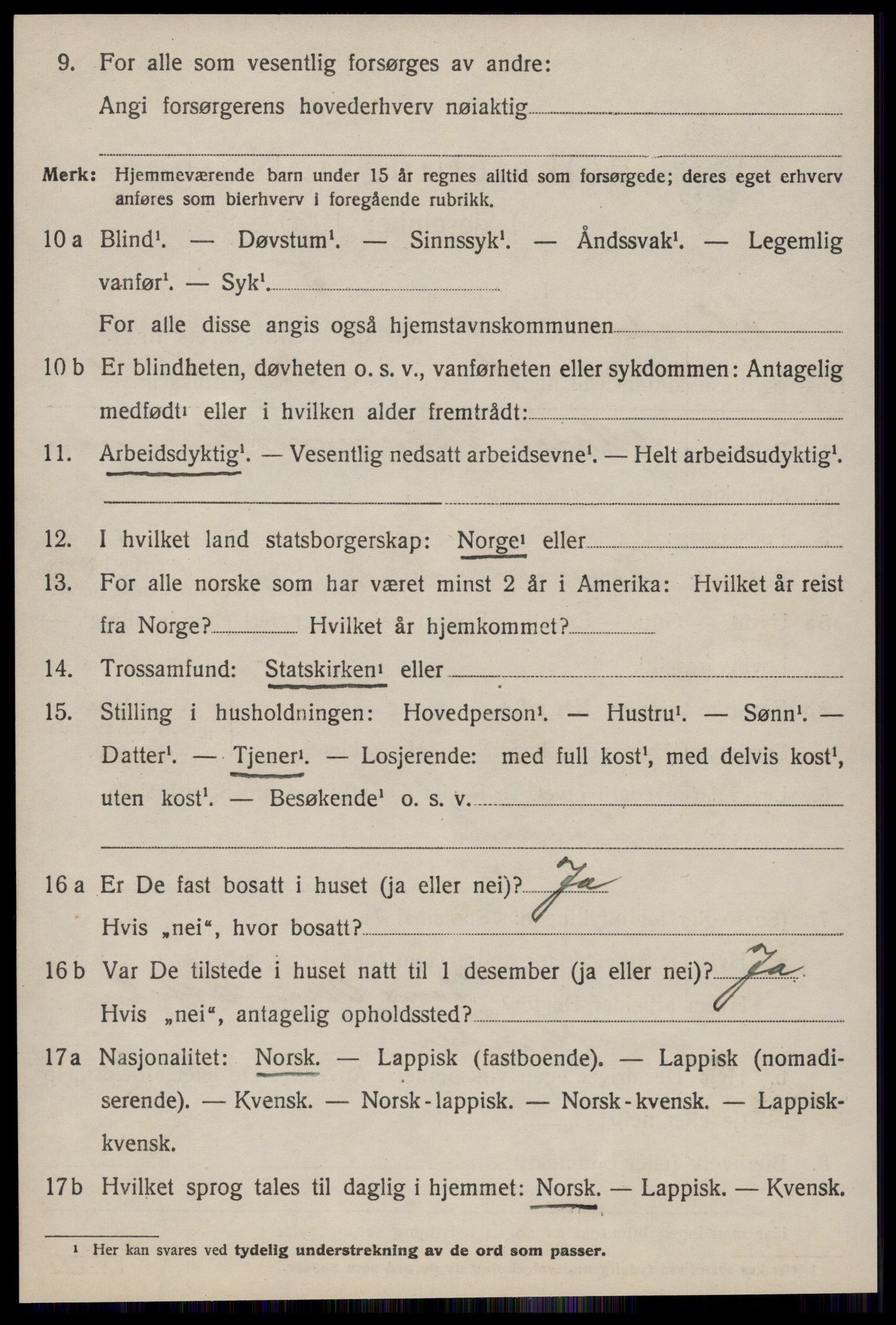 SAT, Folketelling 1920 for 1649 Soknedal herred, 1920, s. 3991