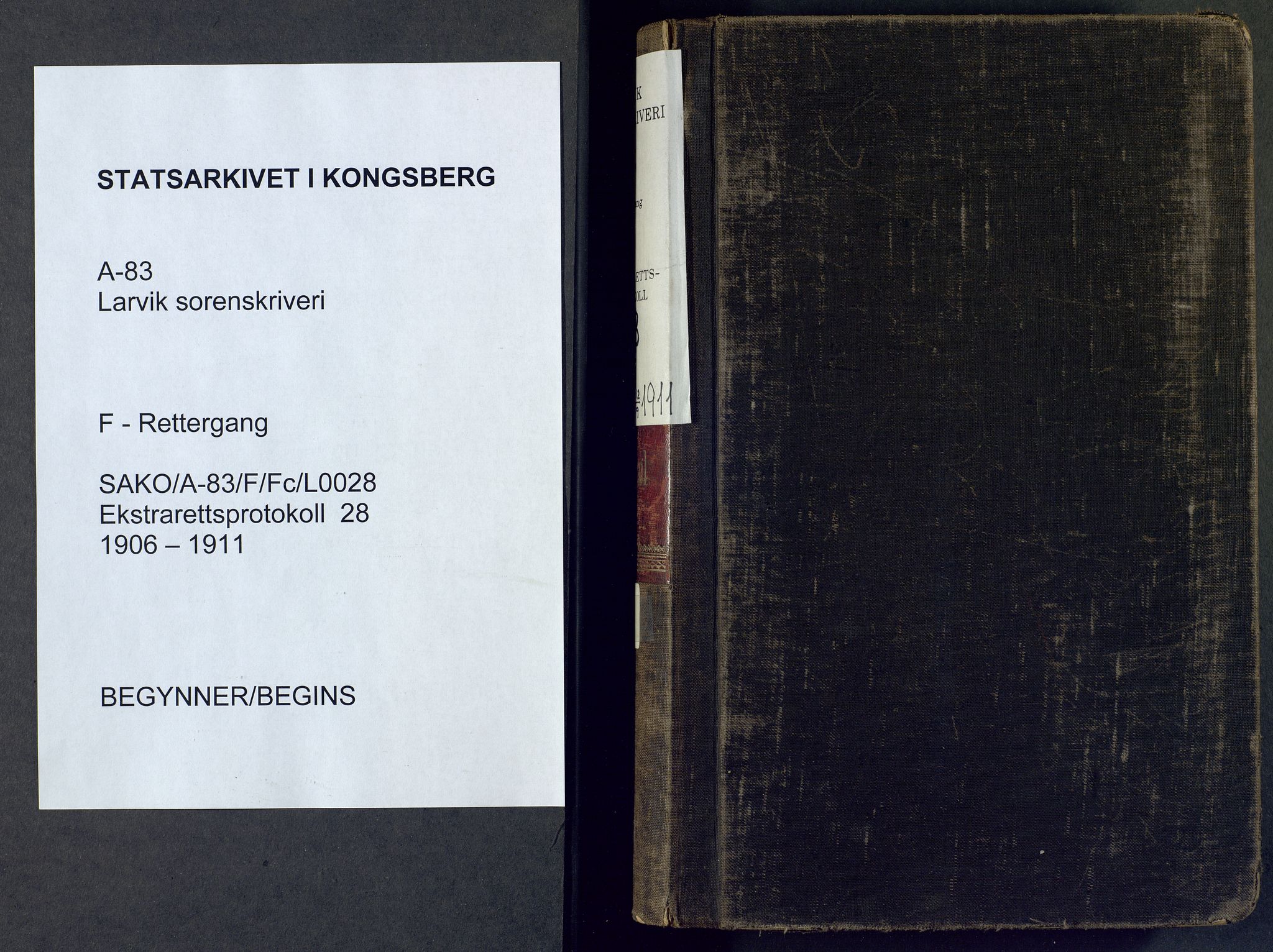 Larvik sorenskriveri, AV/SAKO-A-83/F/Fc/L0028: Ekstrarettsprotokoll, 1906-1911