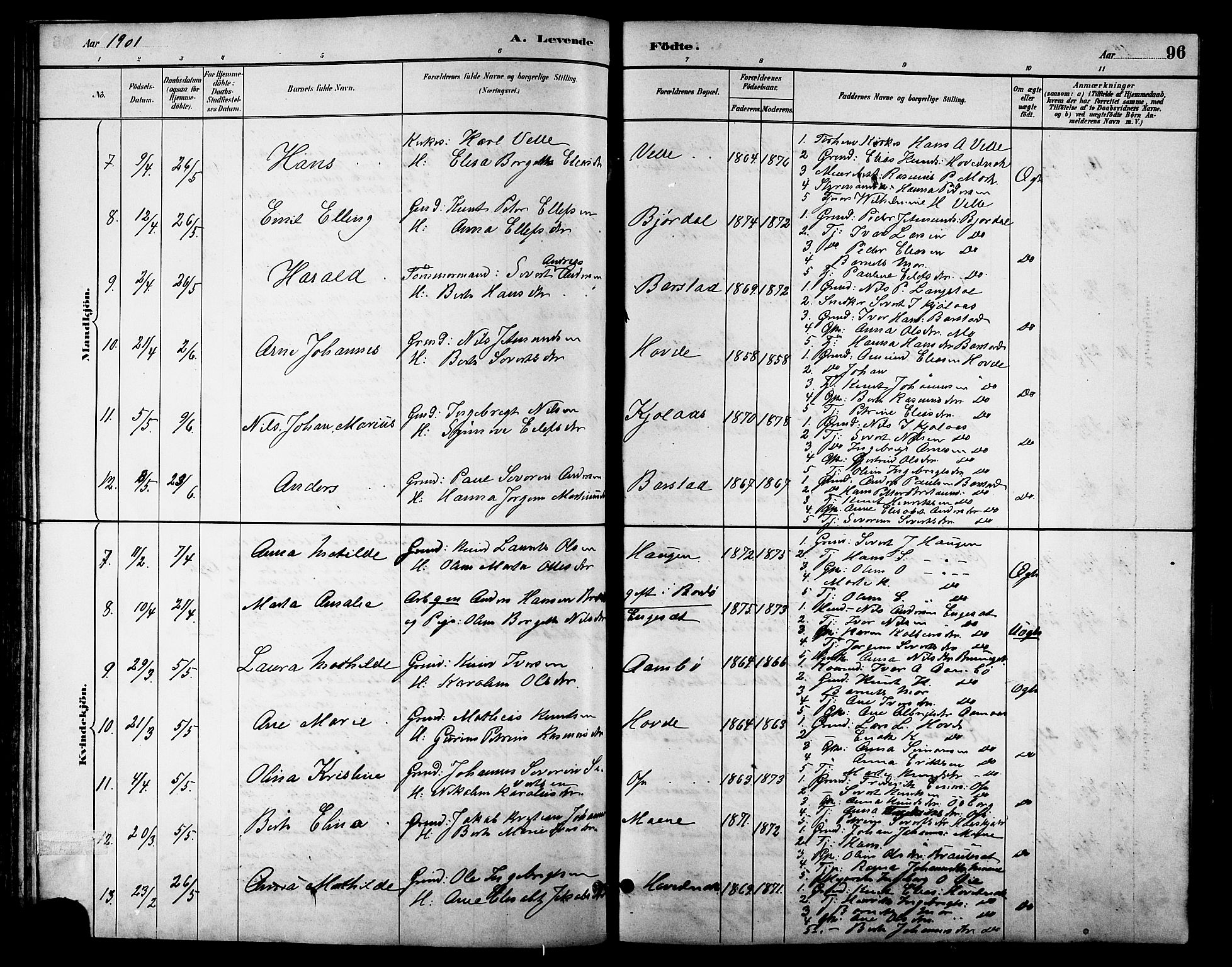 Ministerialprotokoller, klokkerbøker og fødselsregistre - Møre og Romsdal, AV/SAT-A-1454/513/L0189: Klokkerbok nr. 513C03, 1883-1904, s. 96