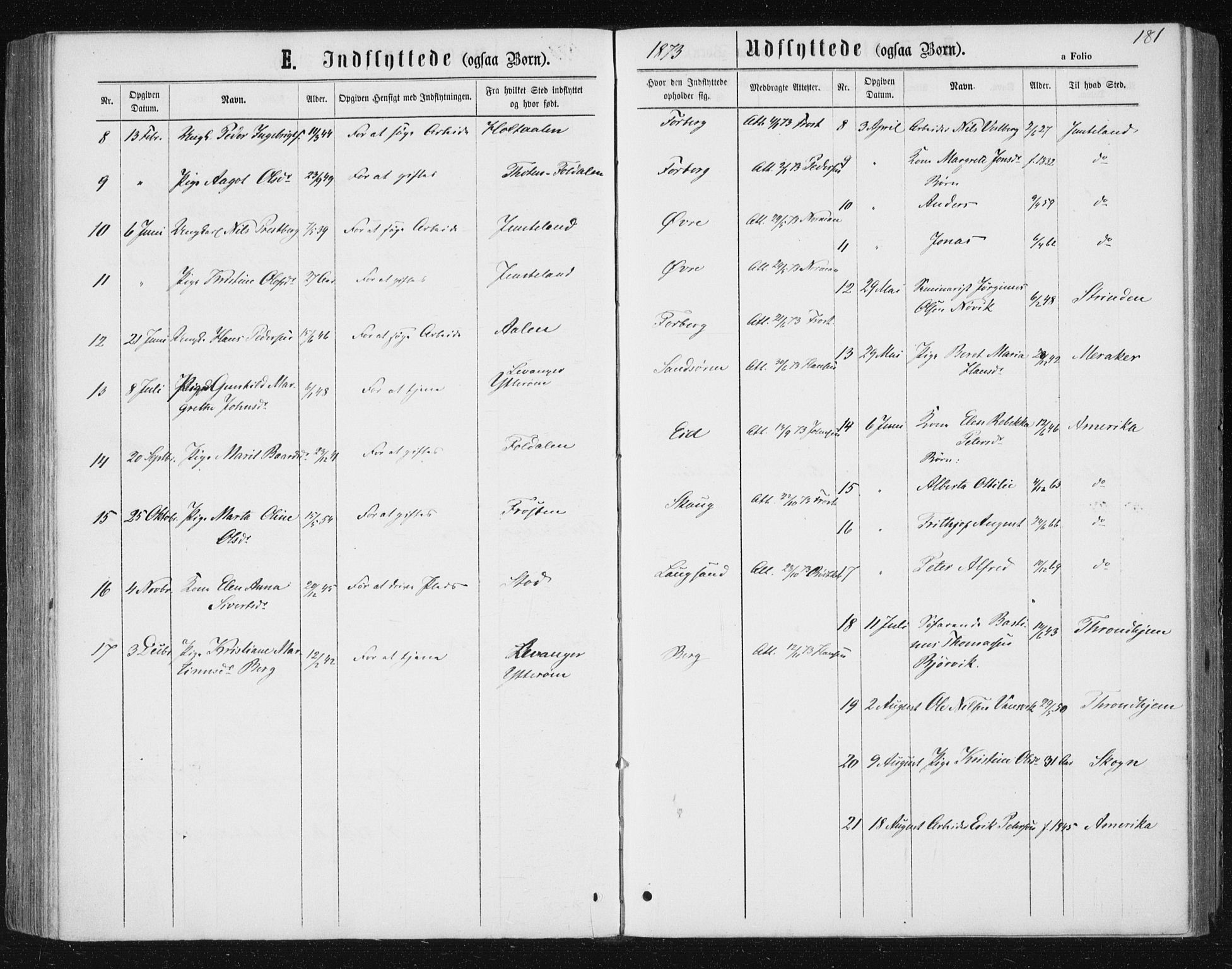 Ministerialprotokoller, klokkerbøker og fødselsregistre - Nord-Trøndelag, AV/SAT-A-1458/722/L0219: Ministerialbok nr. 722A06, 1868-1880, s. 181