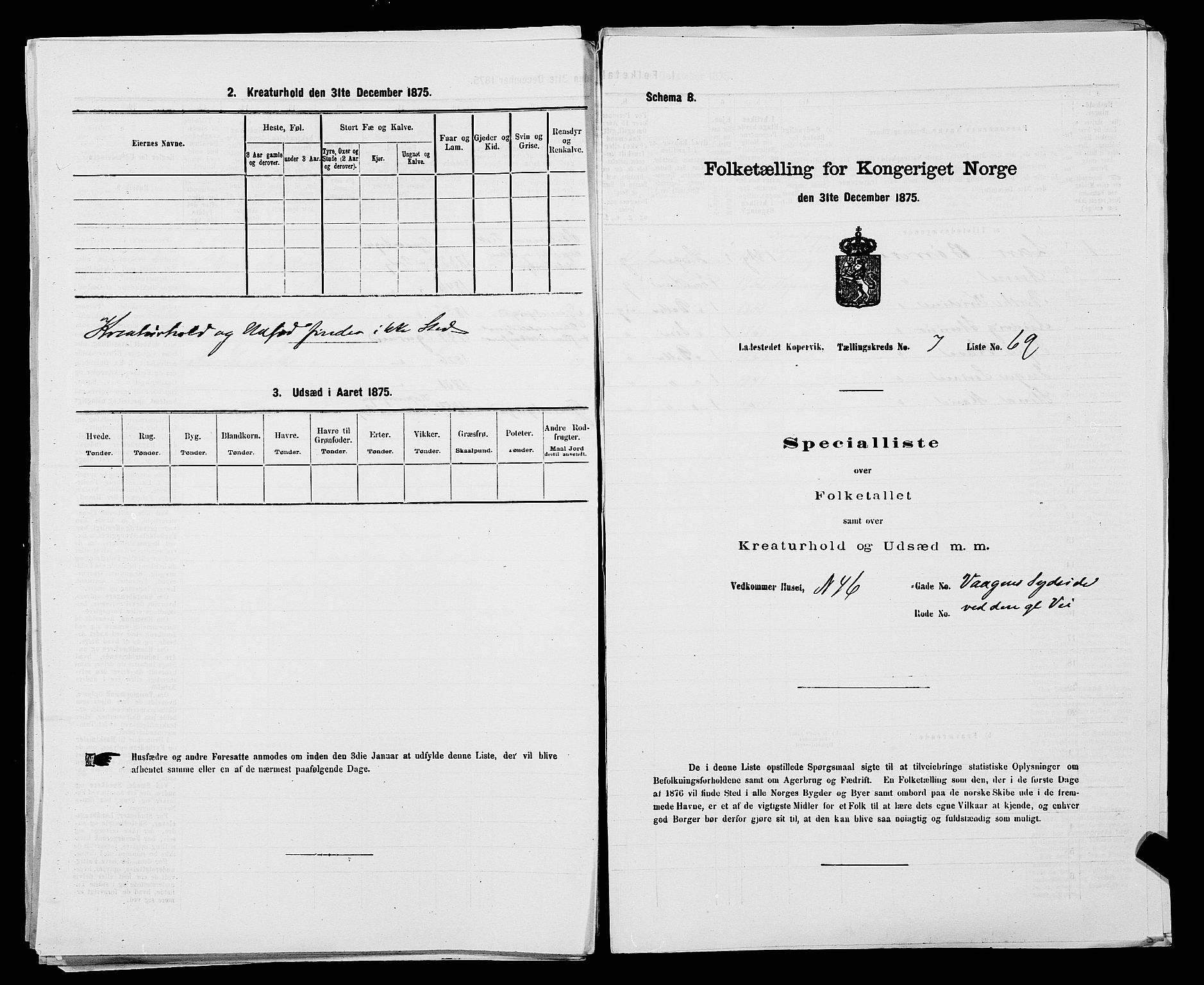 SAST, Folketelling 1875 for 1105B Avaldsnes prestegjeld, Kopervik ladested, 1875, s. 137