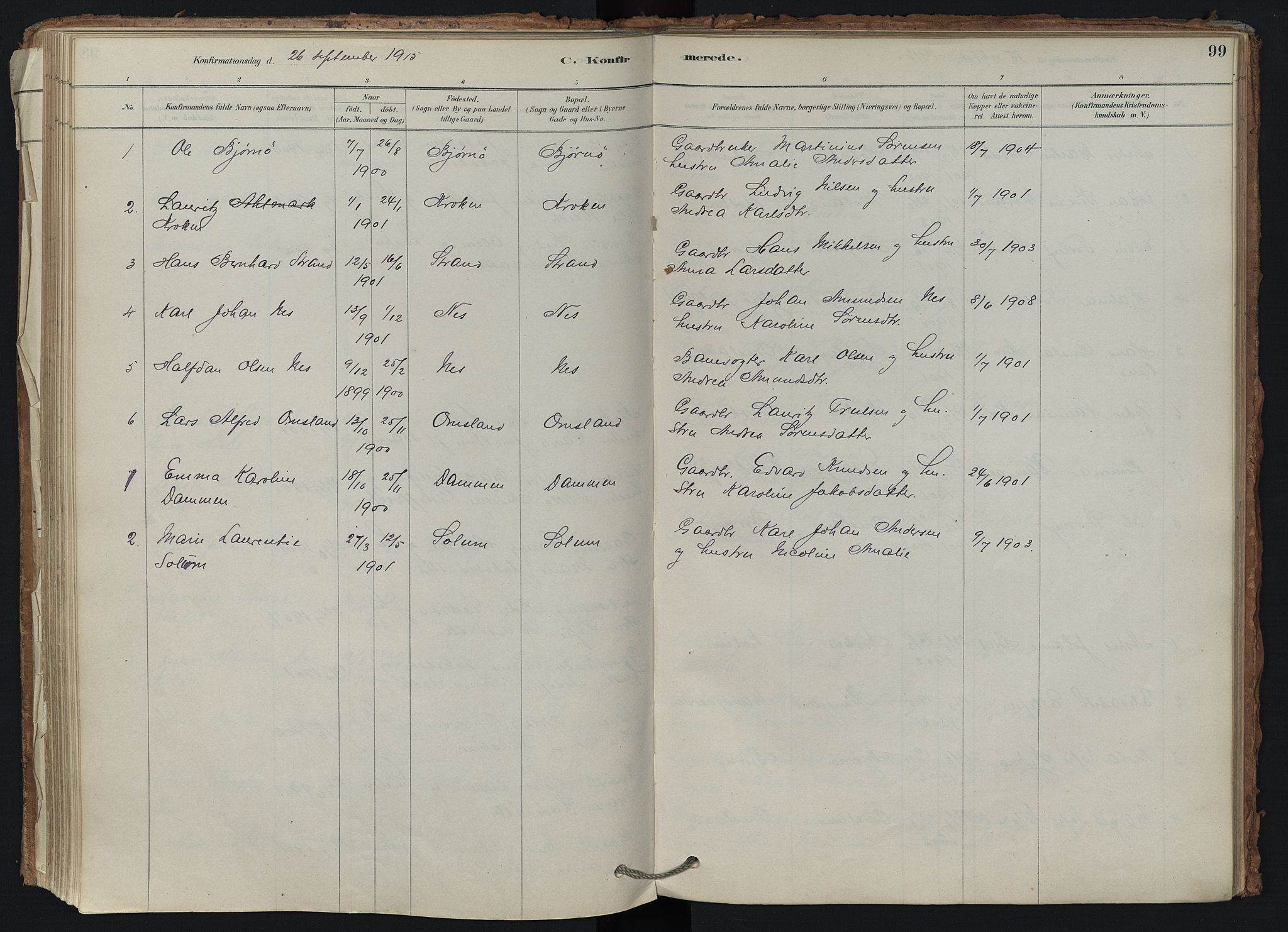 Brunlanes kirkebøker, AV/SAKO-A-342/F/Fd/L0001: Ministerialbok nr. IV 1, 1878-1917, s. 99