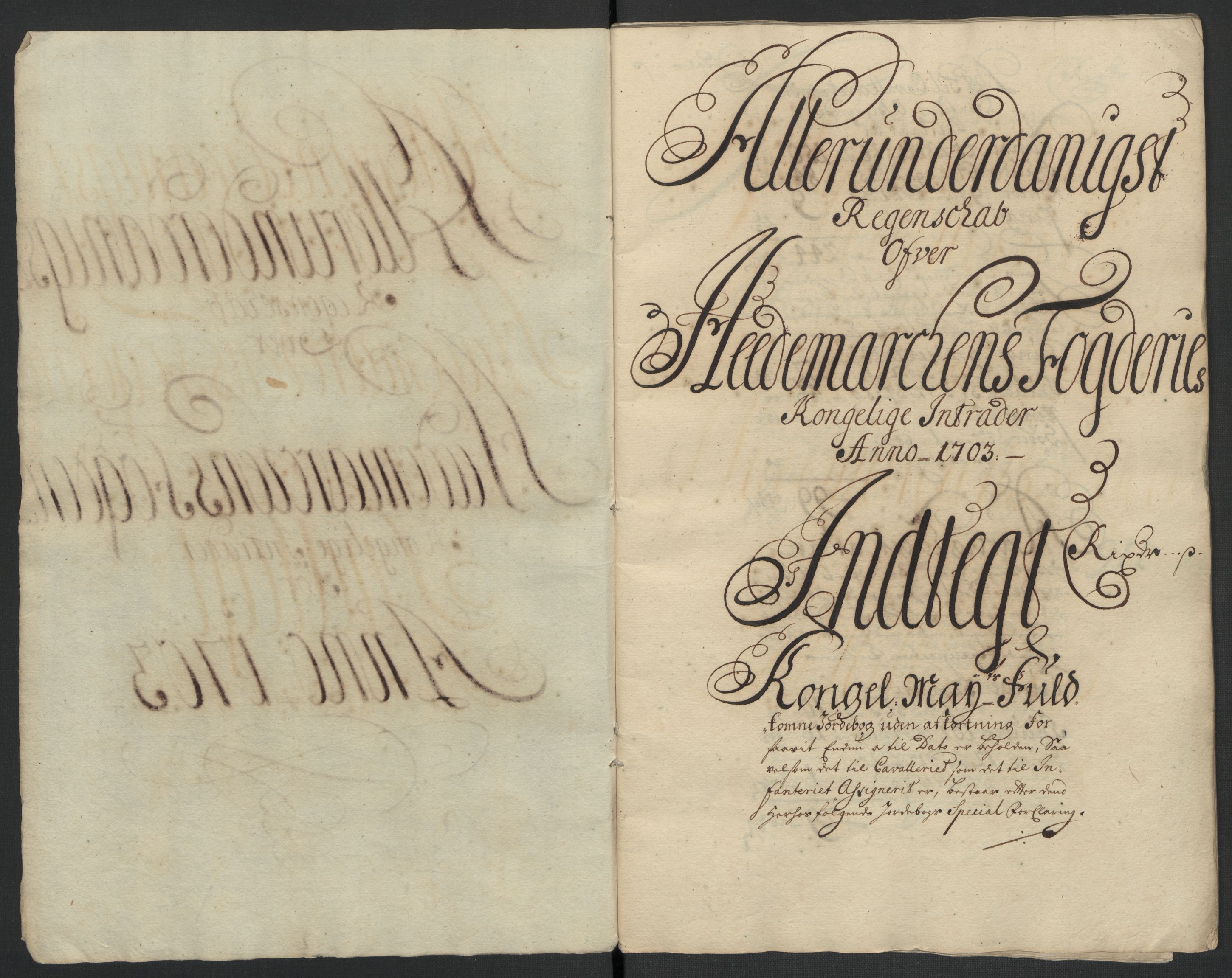 Rentekammeret inntil 1814, Reviderte regnskaper, Fogderegnskap, RA/EA-4092/R16/L1041: Fogderegnskap Hedmark, 1703-1704, s. 4