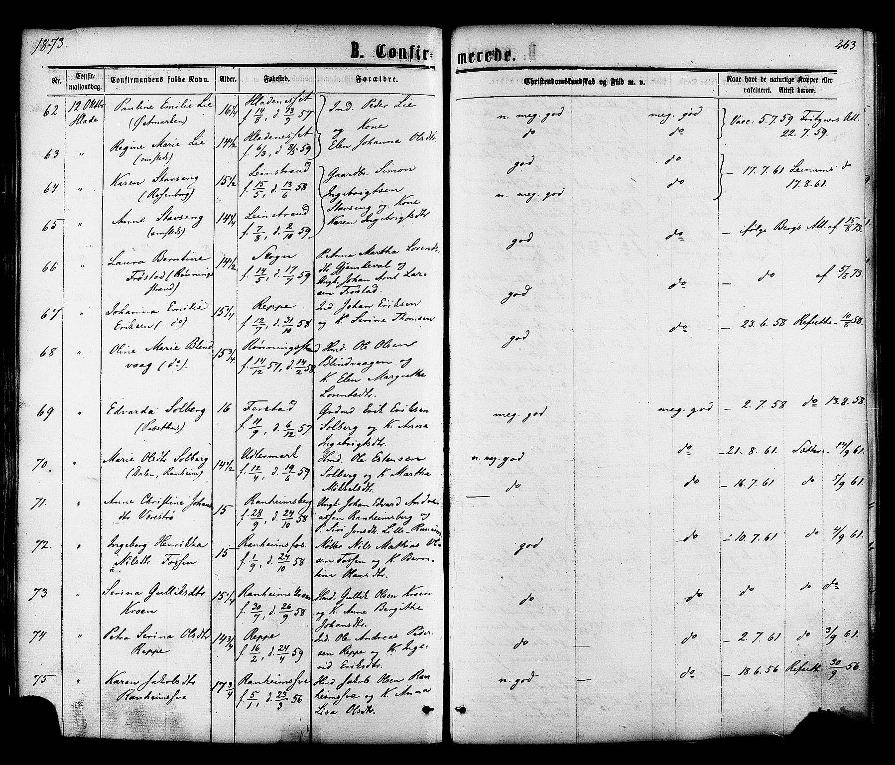 Ministerialprotokoller, klokkerbøker og fødselsregistre - Sør-Trøndelag, SAT/A-1456/606/L0293: Ministerialbok nr. 606A08, 1866-1877, s. 263