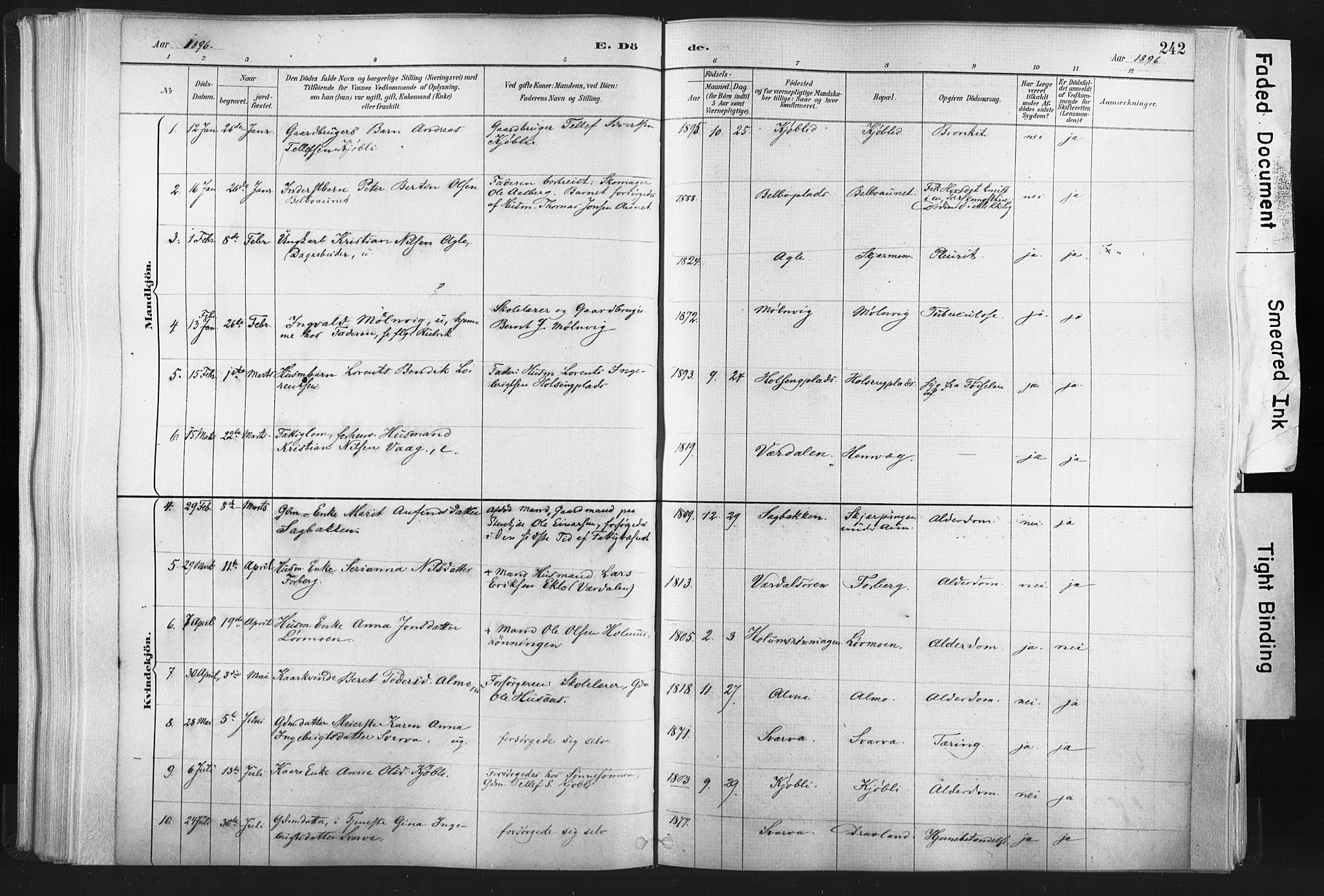 Ministerialprotokoller, klokkerbøker og fødselsregistre - Nord-Trøndelag, SAT/A-1458/749/L0474: Ministerialbok nr. 749A08, 1887-1903, s. 242