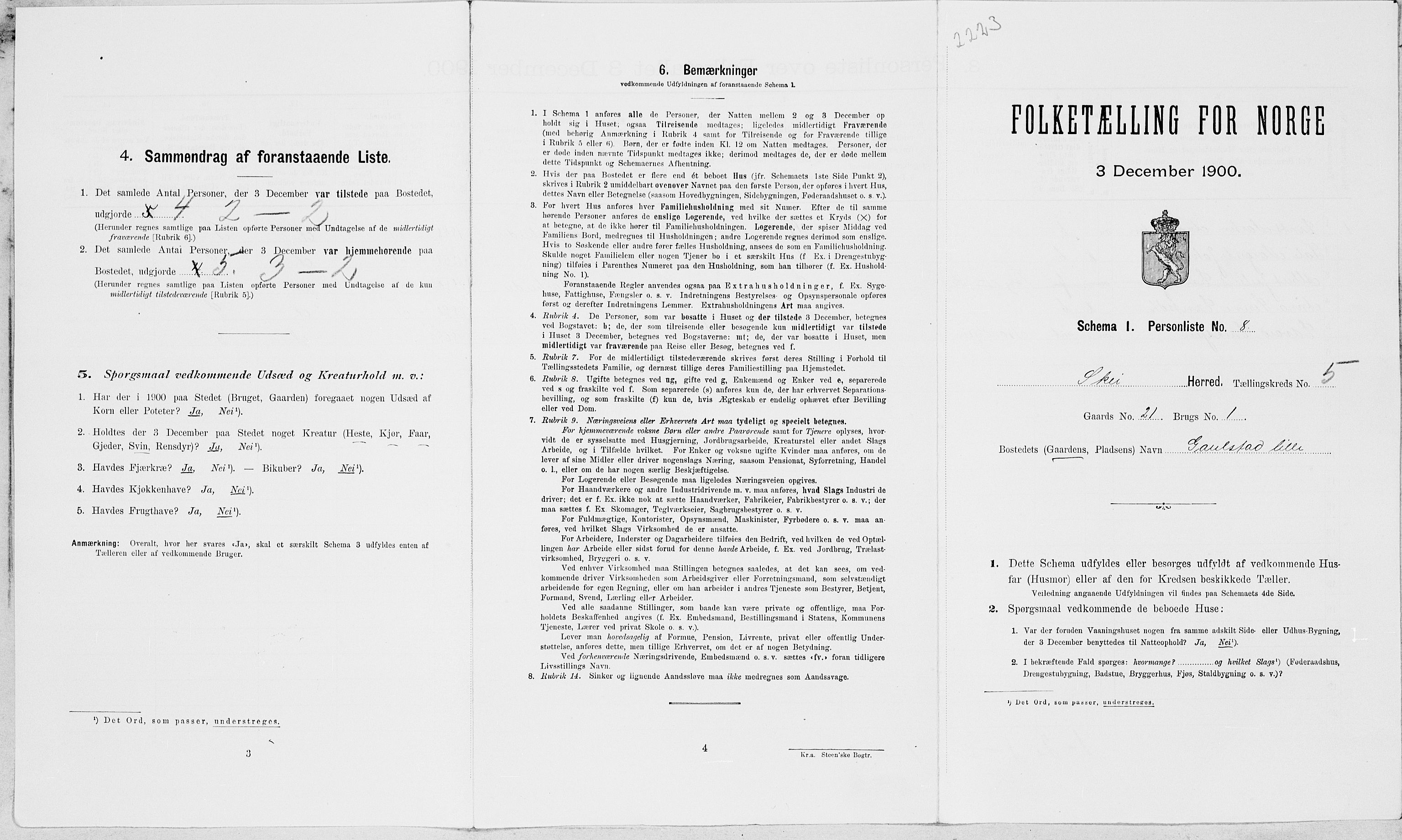 SAT, Folketelling 1900 for 1732 Skei herred, 1900, s. 438