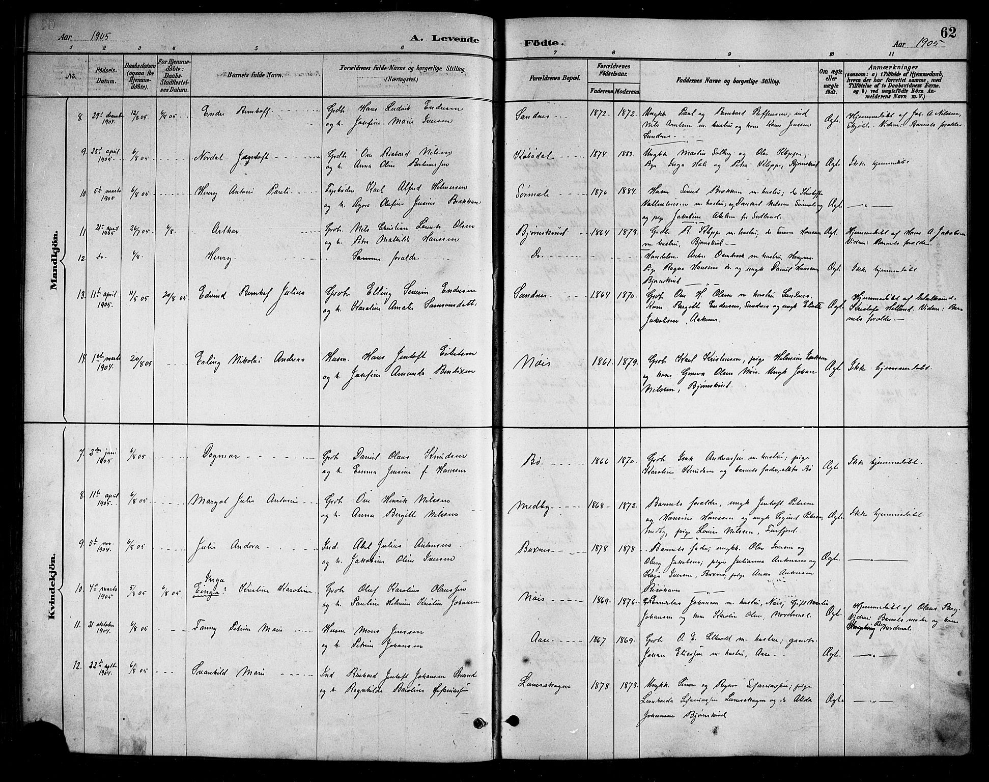 Ministerialprotokoller, klokkerbøker og fødselsregistre - Nordland, AV/SAT-A-1459/898/L1427: Klokkerbok nr. 898C02, 1887-1917, s. 62