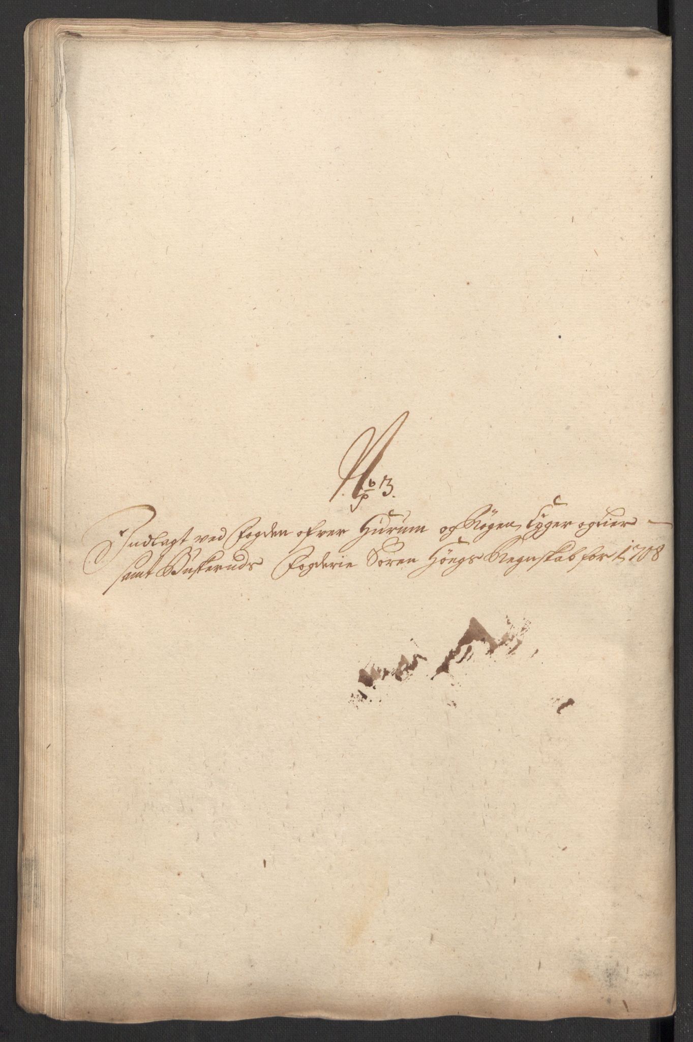Rentekammeret inntil 1814, Reviderte regnskaper, Fogderegnskap, AV/RA-EA-4092/R31/L1702: Fogderegnskap Hurum, Røyken, Eiker, Lier og Buskerud, 1708, s. 101