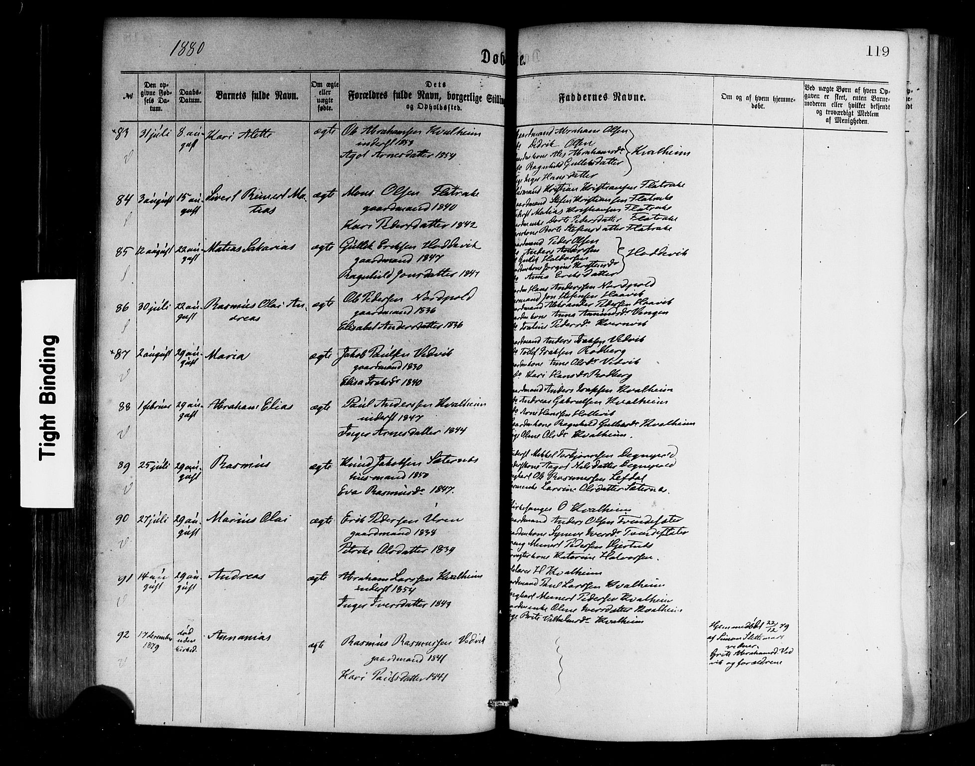 Selje sokneprestembete, AV/SAB-A-99938/H/Ha/Haa/Haaa: Ministerialbok nr. A 12, 1870-1880, s. 119