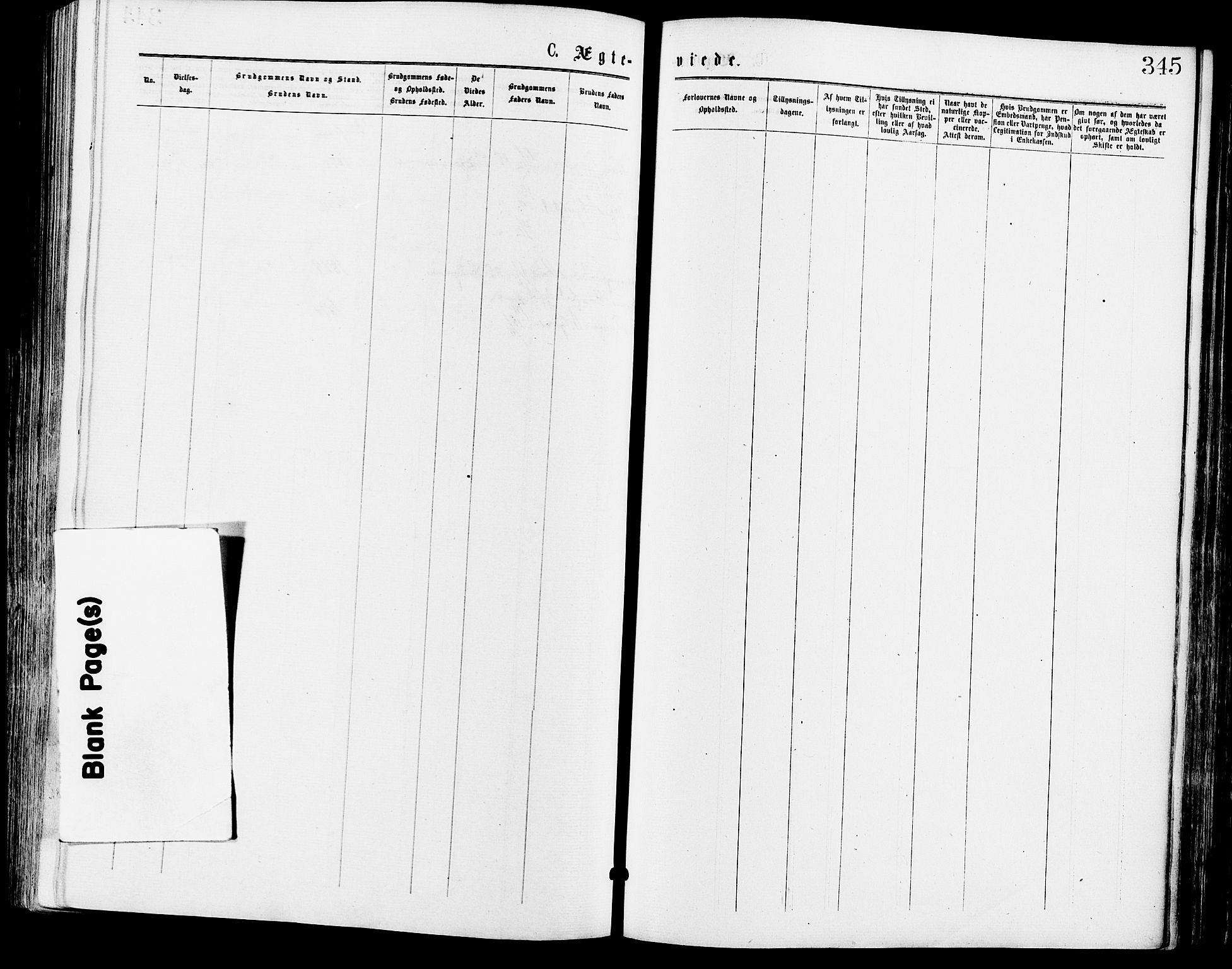 Sør-Odal prestekontor, SAH/PREST-030/H/Ha/Haa/L0005: Ministerialbok nr. 5, 1876-1885, s. 345