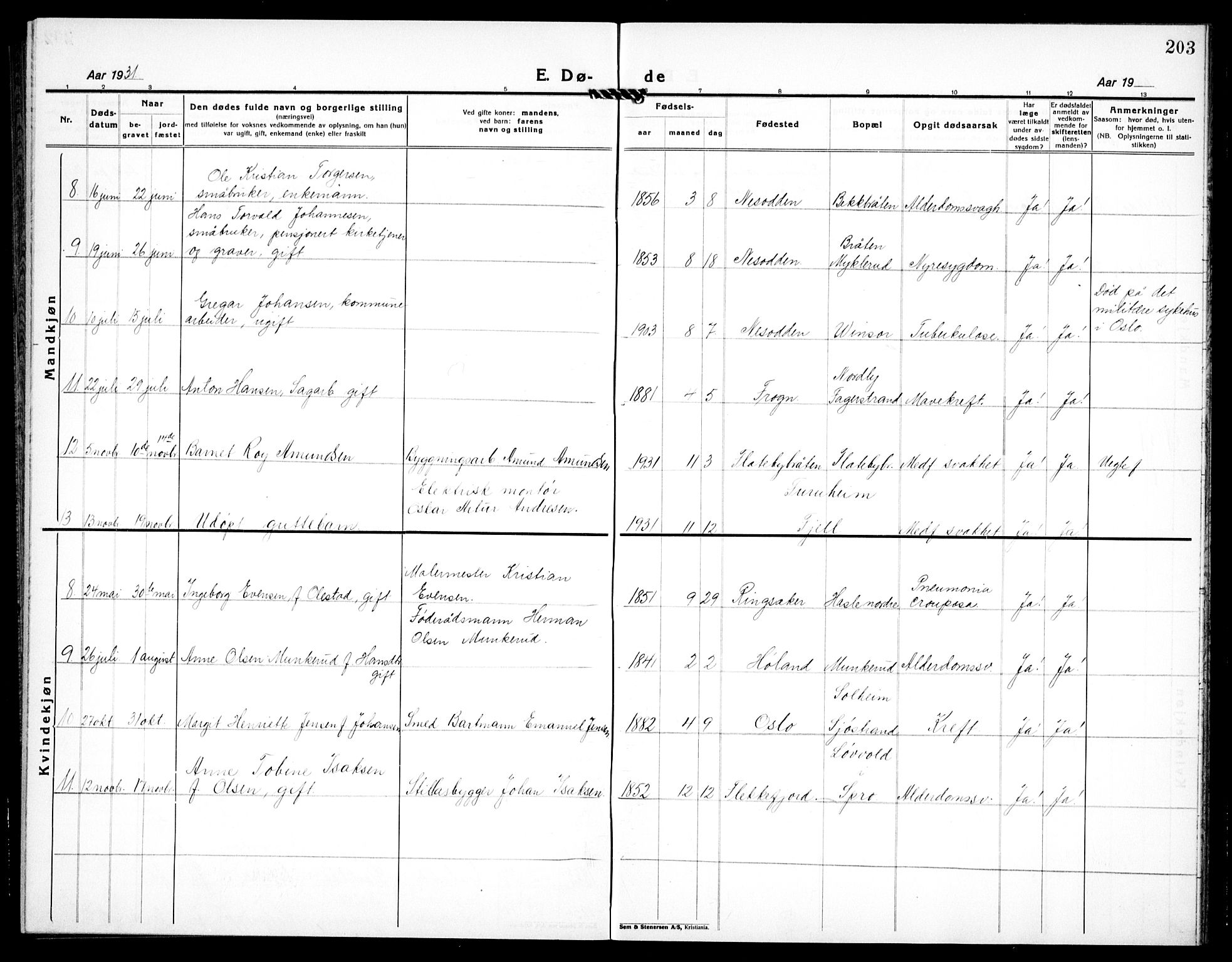 Nesodden prestekontor Kirkebøker, AV/SAO-A-10013/G/Ga/L0003: Klokkerbok nr. I 3, 1924-1939, s. 203