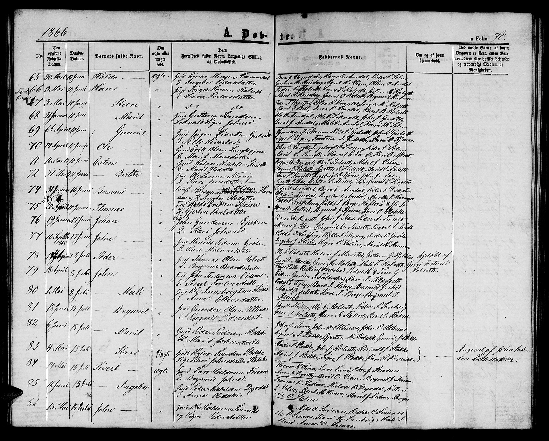 Ministerialprotokoller, klokkerbøker og fødselsregistre - Sør-Trøndelag, SAT/A-1456/695/L1155: Klokkerbok nr. 695C06, 1859-1868, s. 70