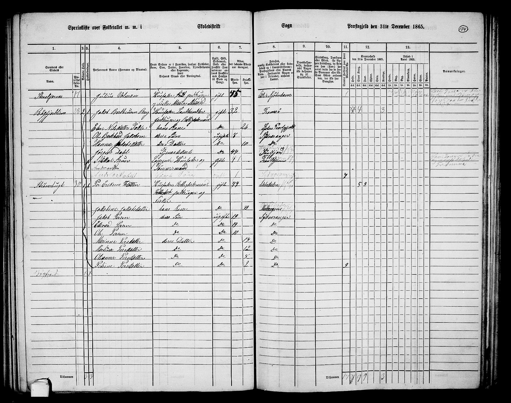 RA, Folketelling 1865 for 2030P Sør-Varanger prestegjeld, 1865, s. 11