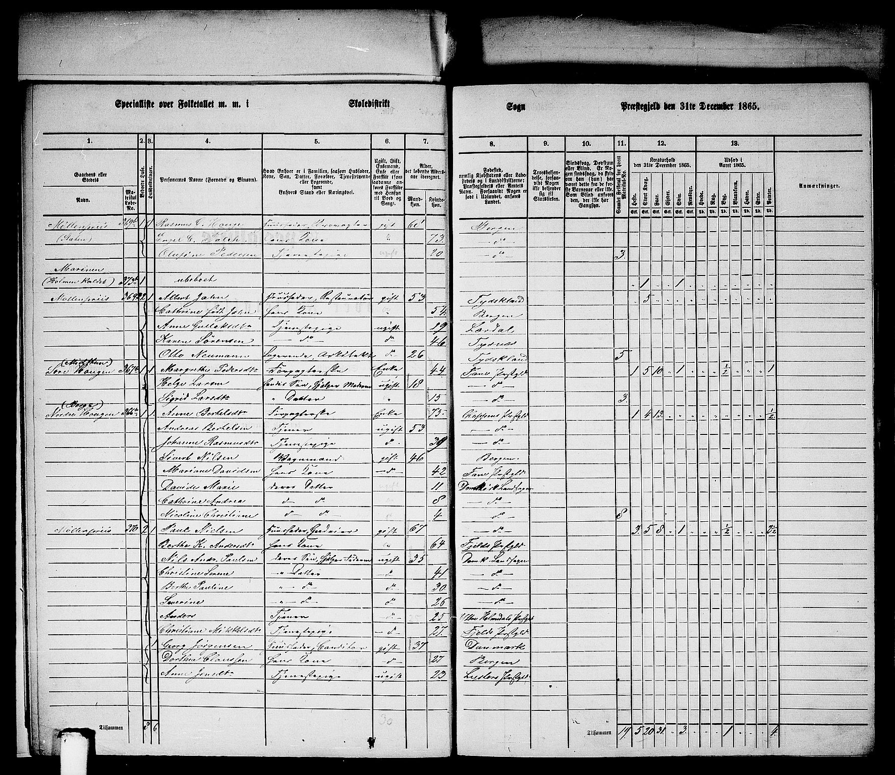 RA, Folketelling 1865 for 1281L Bergen Landdistrikt, Domkirkens landsokn og Korskirkens landsokn, 1865, s. 6