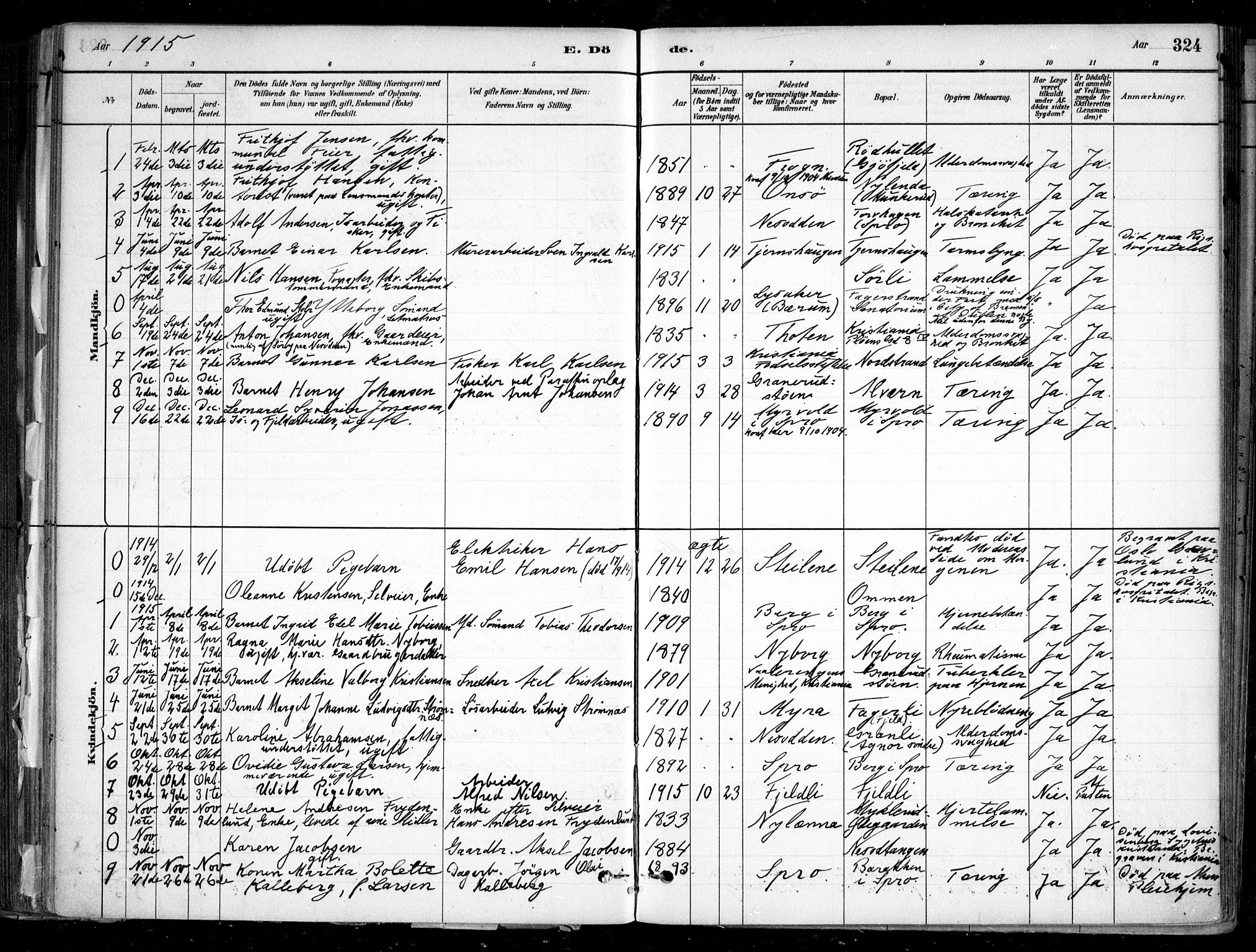 Nesodden prestekontor Kirkebøker, AV/SAO-A-10013/F/Fa/L0009: Ministerialbok nr. I 9, 1880-1915, s. 324