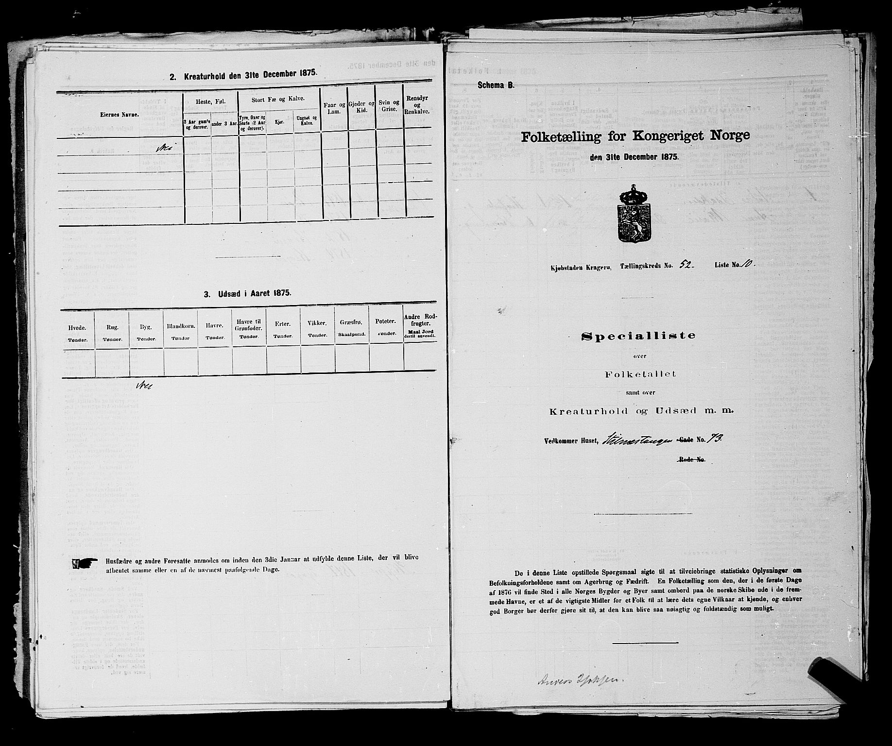 SAKO, Folketelling 1875 for 0801P Kragerø prestegjeld, 1875, s. 1162