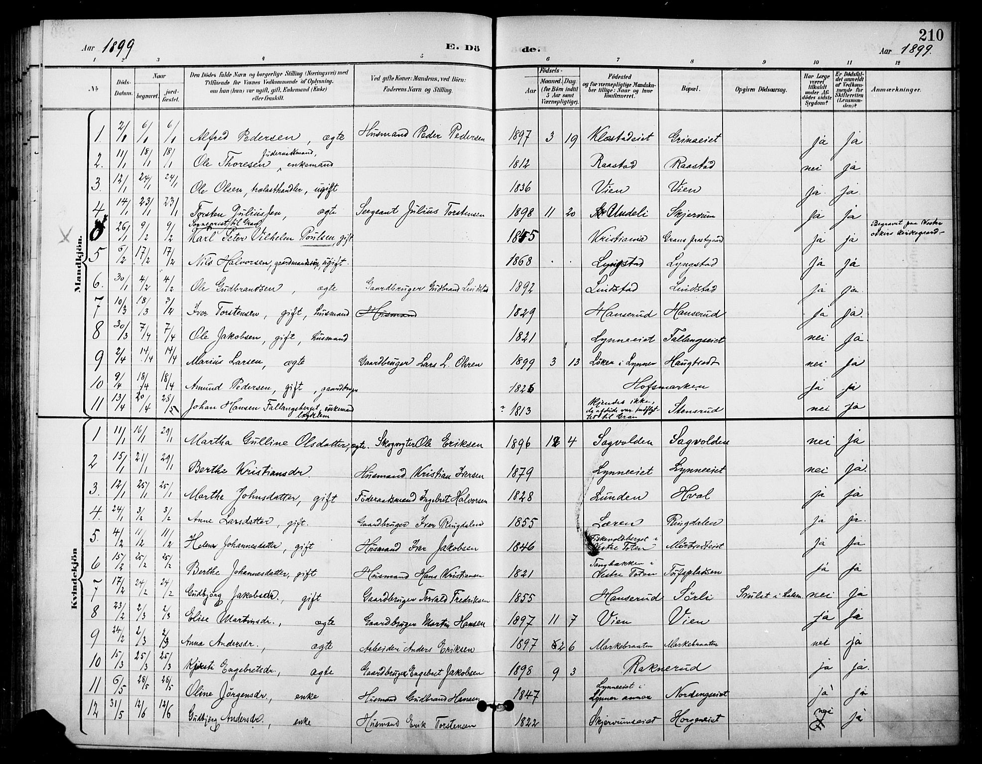 Gran prestekontor, SAH/PREST-112/H/Ha/Haa/L0019: Ministerialbok nr. 19, 1898-1907, s. 210