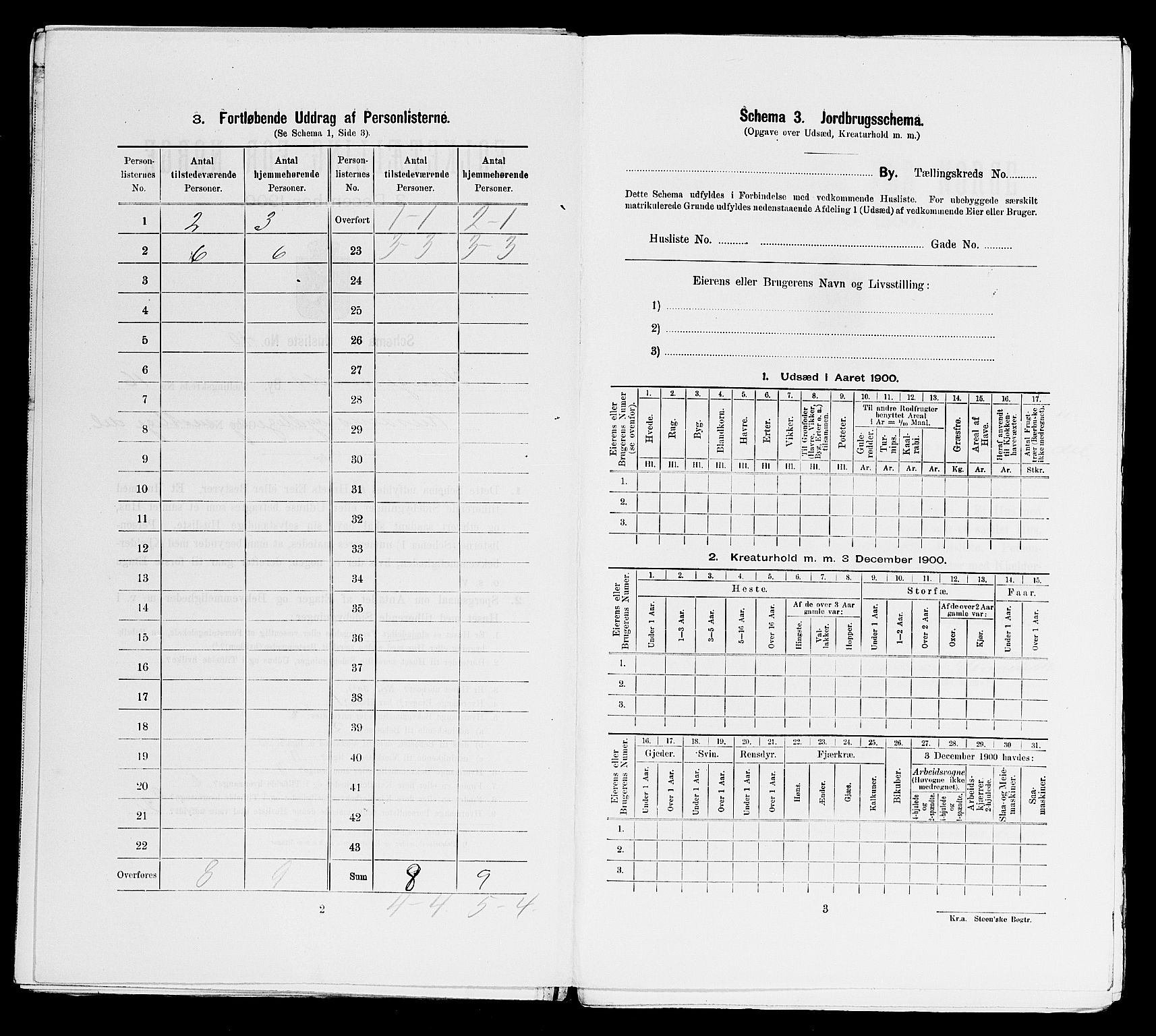 SAST, Folketelling 1900 for 1106 Haugesund kjøpstad, 1900, s. 2911